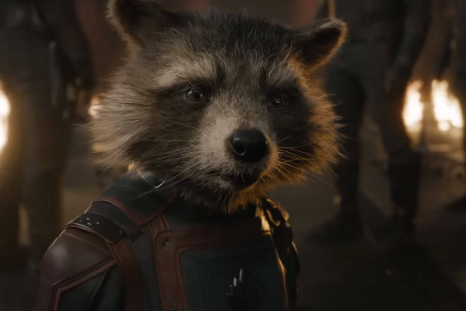 Promotional image courtesy Marvel Studios
Rocket, an entirely computer generated character is performed onset by Sean Gunn and voiced by Bradley Cooper in “Guardians of the Galaxy Vol. 3.” Despite appearances, he’s the emotional center of the film.