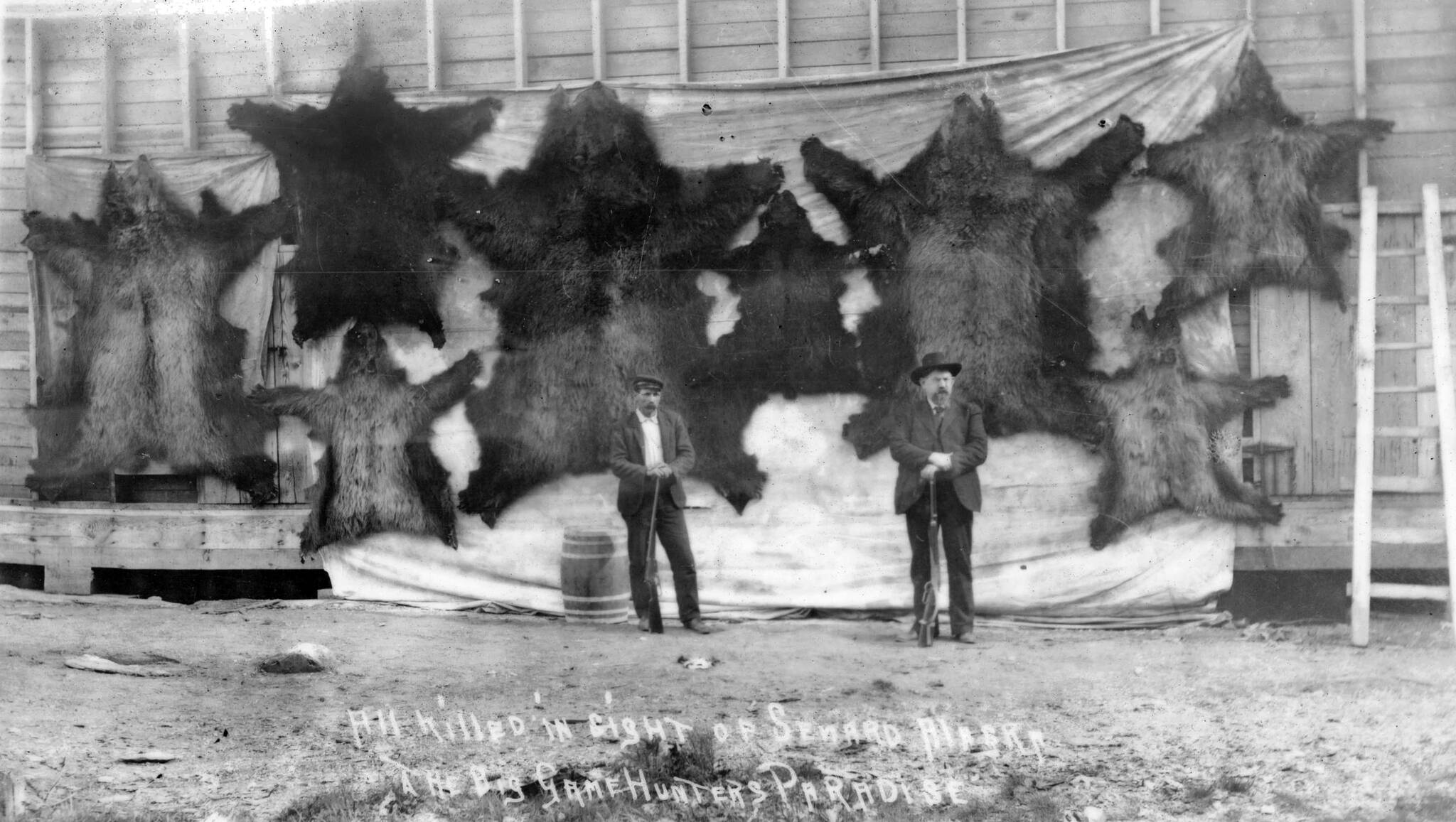 Photo #940.1.5 courtesy of the Resurrection Bay Historical Society
Dr. John Baughman (R) and an unidentified man (possibly W.H. Case) pose in about 1910 before a display of eight bear skins. Written on the photo: “All killed in sight of Seward, Alaska. The big game hunters paradise.”