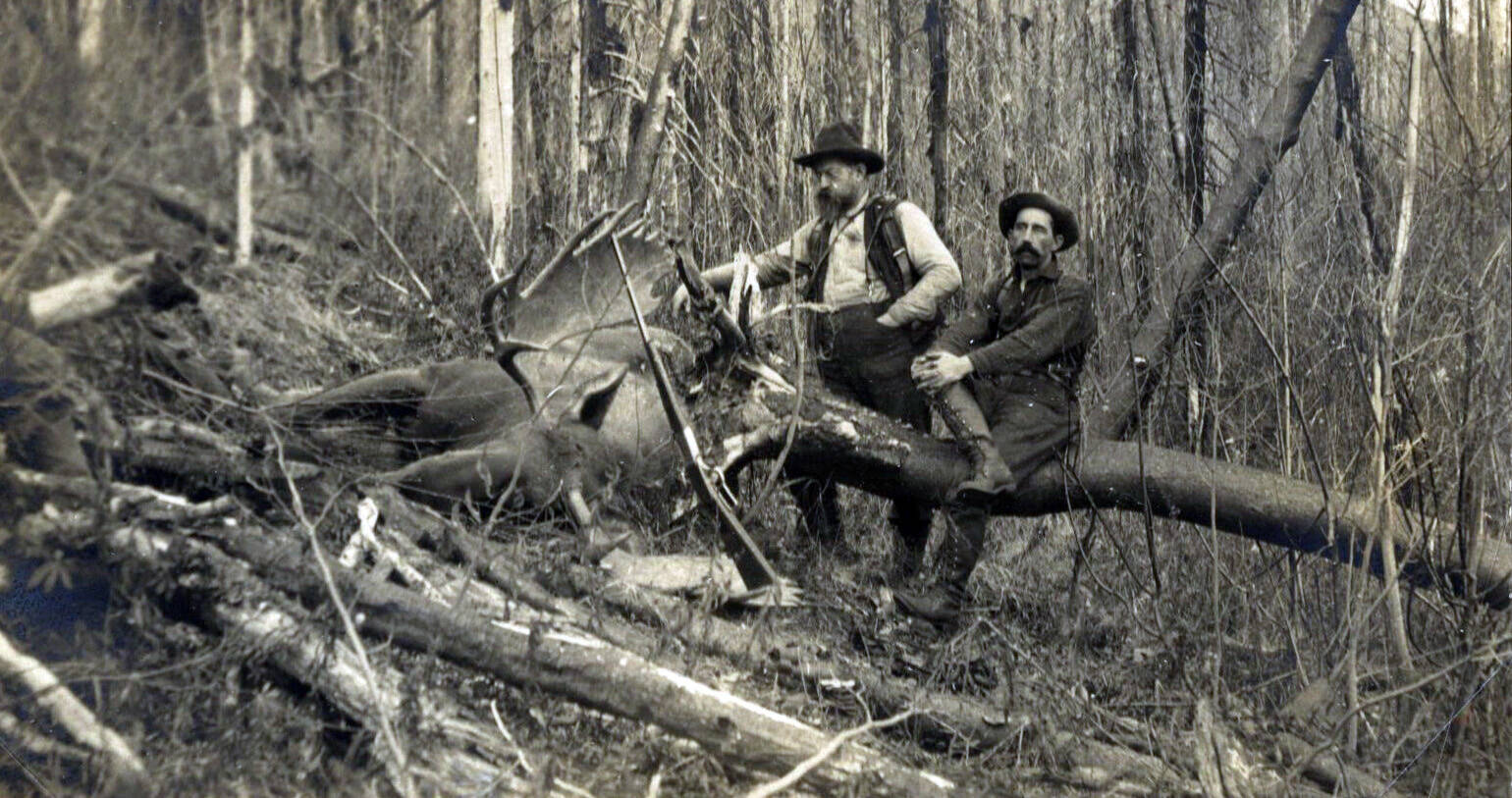 Photo #606.1.4 courtesy of the Resurrection Bay Historical Society
Skilled hunter John A. Baughman (L) and an unidentified man pose on the Kenai Peninsula with a large bull moose kill in about 1910.