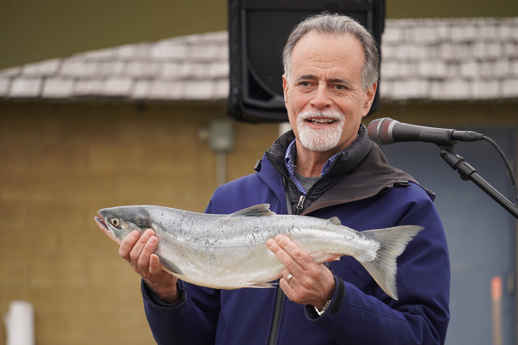 Kenai Peninsula Borough Mayor Peter Micciche holds up the “first salmon of the season,” caught and auctioned off at Return of the Reds on Saturday, June 3, 2023, at the Kenai City Dock in Kenai, Alaska. (Jake Dye/Peninsula Clarion)