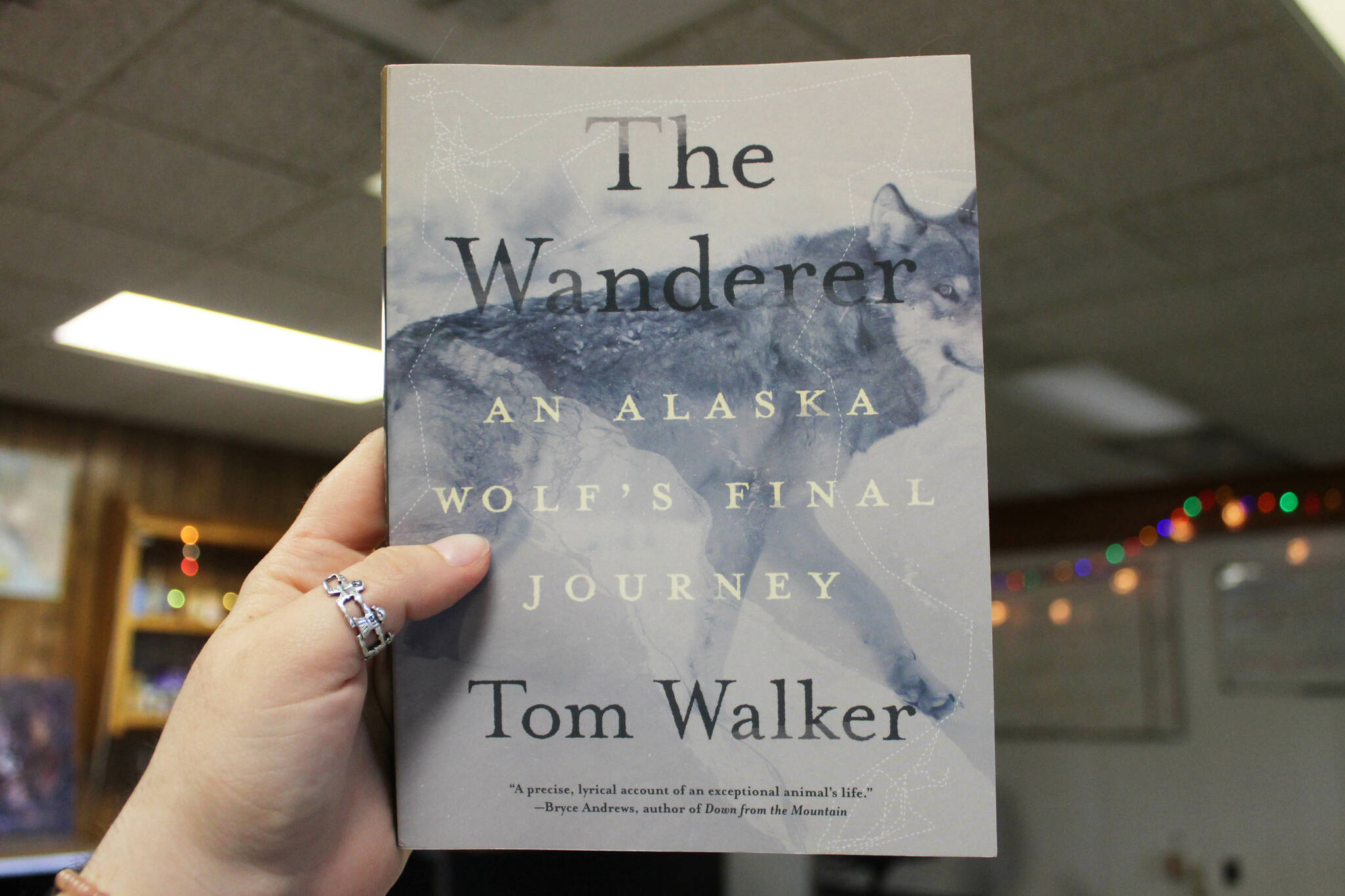 A copy of Tom Walker’s “The Wanderer: An Alaska Wolf’s Final Journey” is held in The Peninsula Clarion building on Thursday, June 15, 2023 in Kenai, Alaska. (Ashlyn O’Hara/Peninsula Clarion)