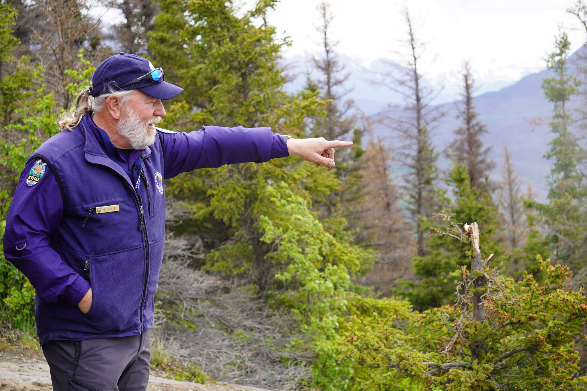 Bill Farrell leads a Guided Discovery Hike on the Bear Mountain Trail, near Cooper Landing, Alaska, on Friday, June 23, 2023. (Jake Dye/Peninsula Clarion)