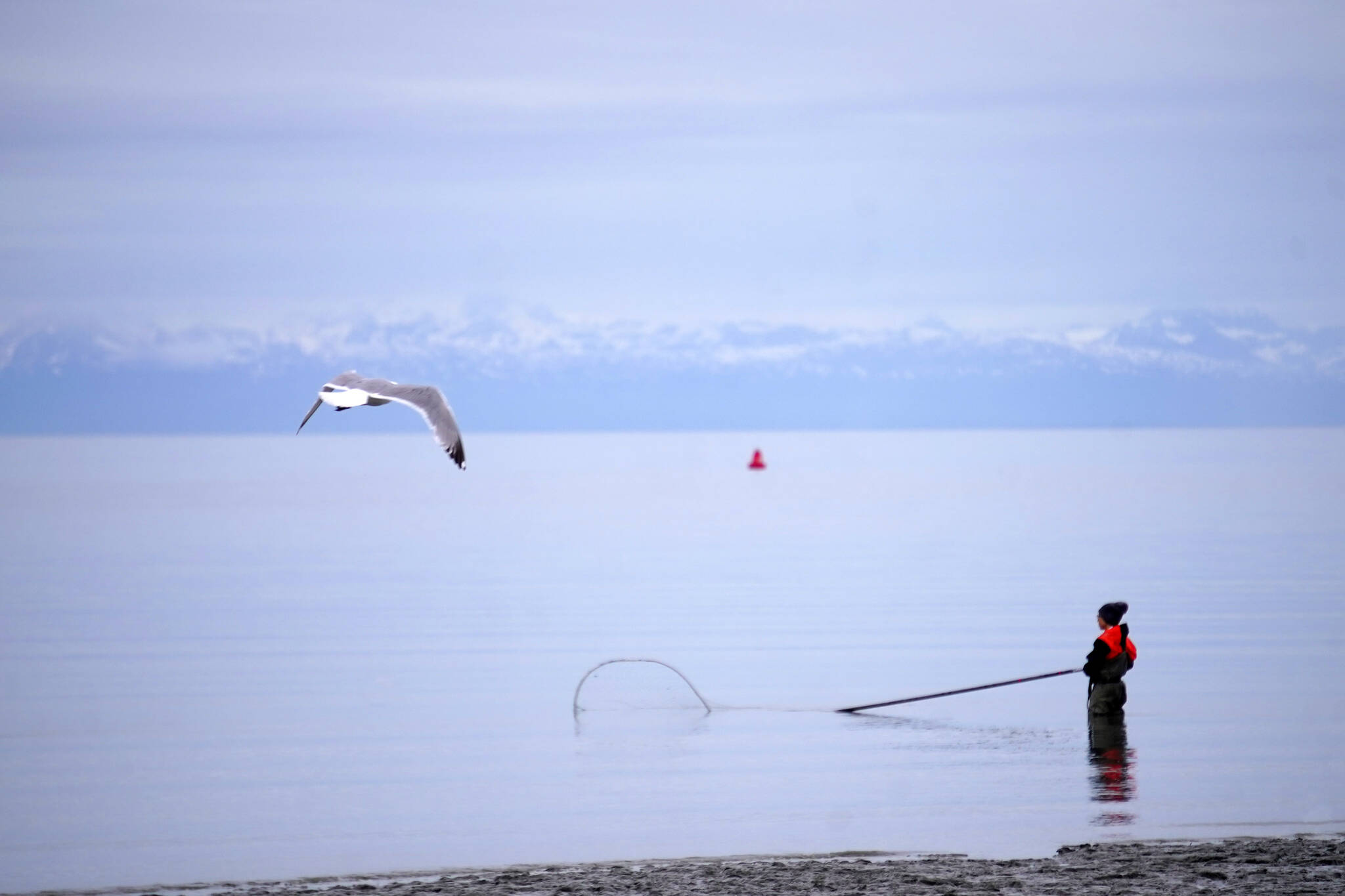 An angler stands with a net at the ready at the mouth of the Kasilof River on Monday, June 26, 2023, in Kasilof, Alaska. (Jake Dye/Peninsula Clarion)