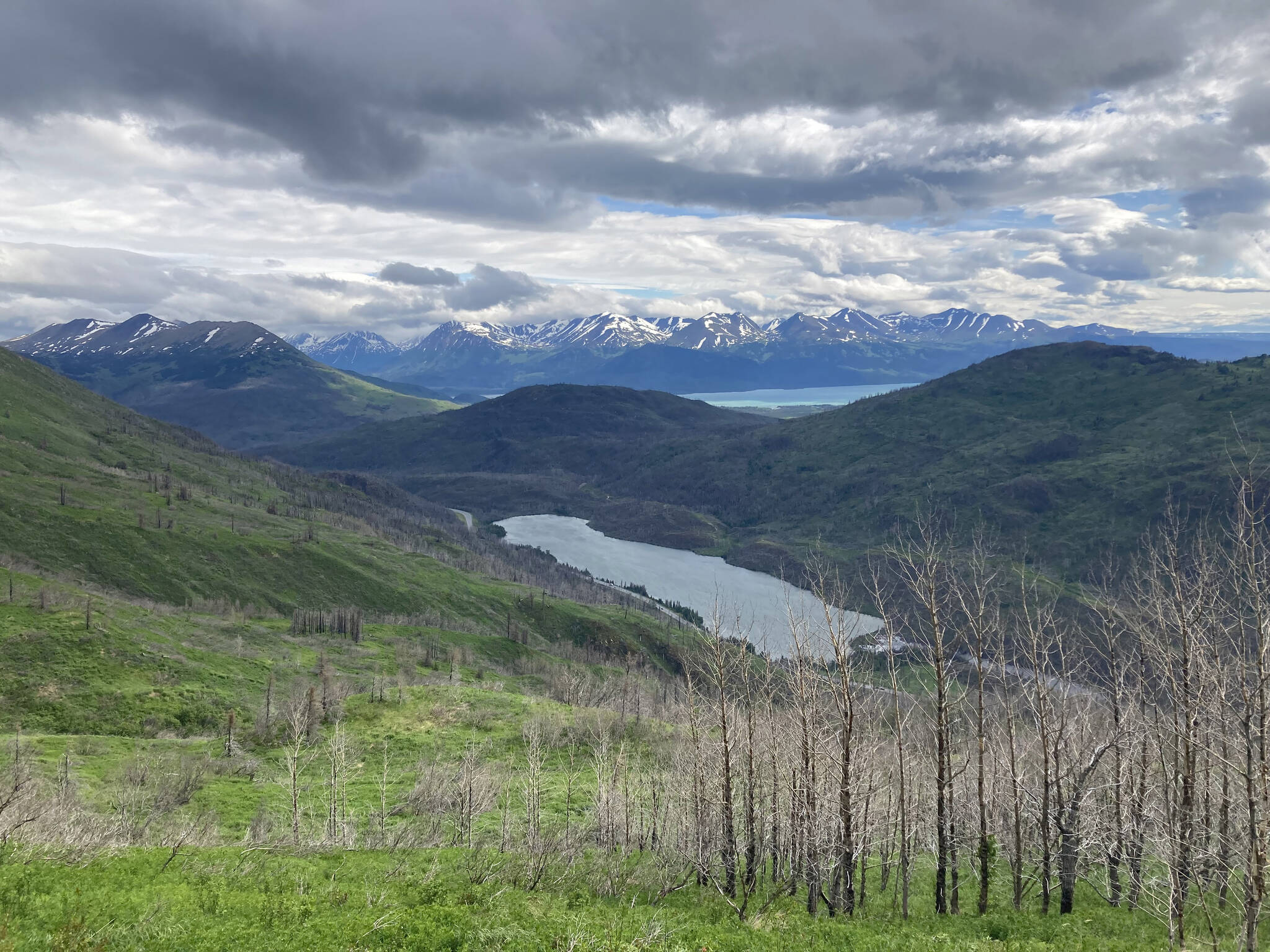 Skyline Trail, June 25, 2023. (Photo by Jeff Helminiak/Peninsula Clarion)