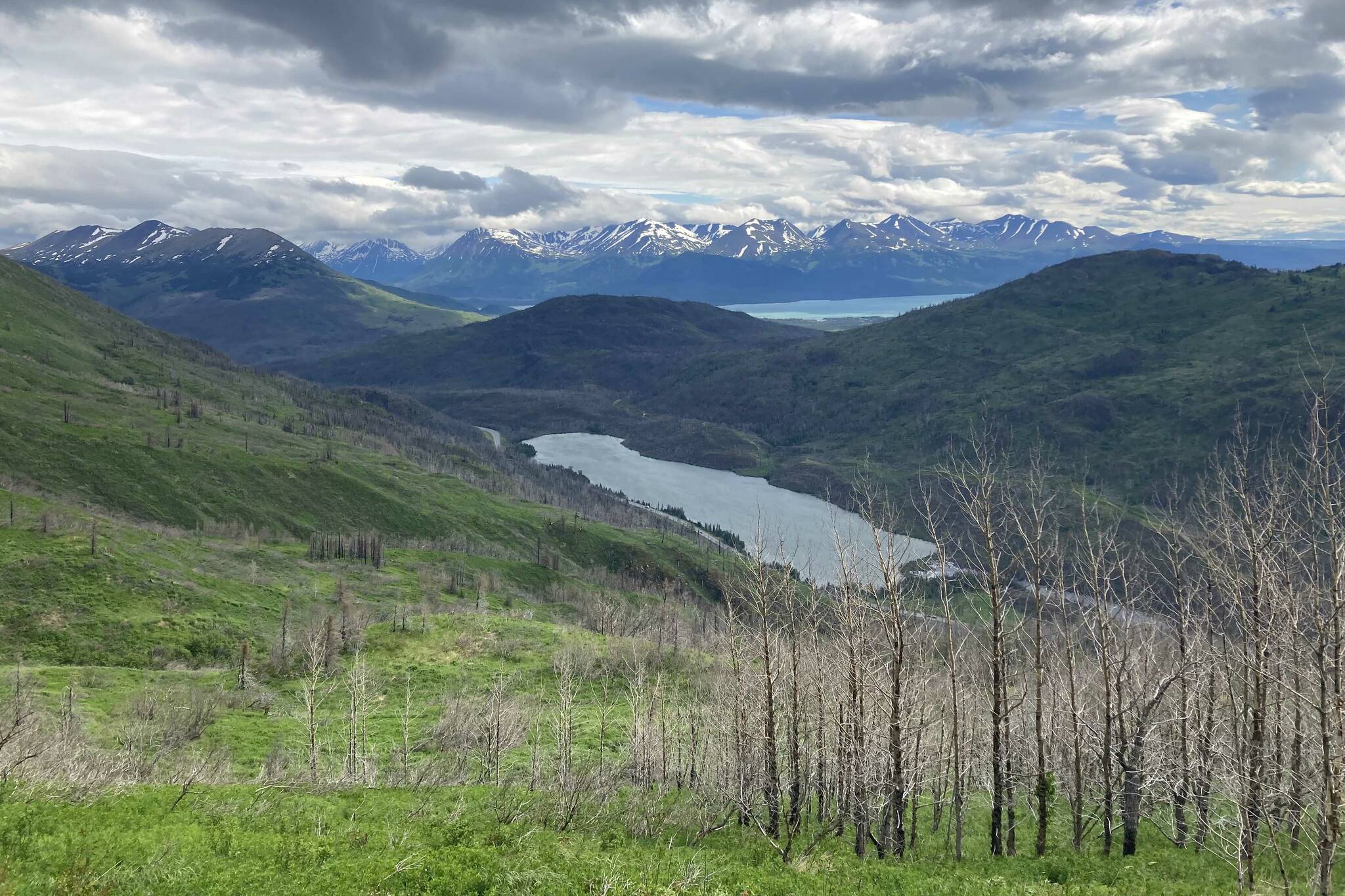 Skyline Trail, June 25, 2023. (Photo by Jeff Helminiak/Peninsula Clarion)