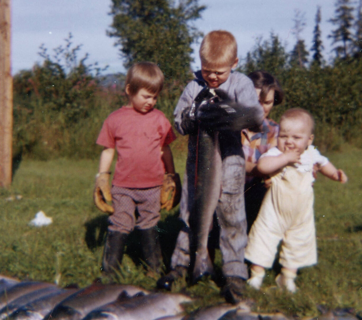 The Fenger children — (left to right) Heidi, Eric and Peter — delight in a bounty of silver salmon gathered by setnet below their home in August 1962. (Photo courtesy of the Fenger Family Collection)