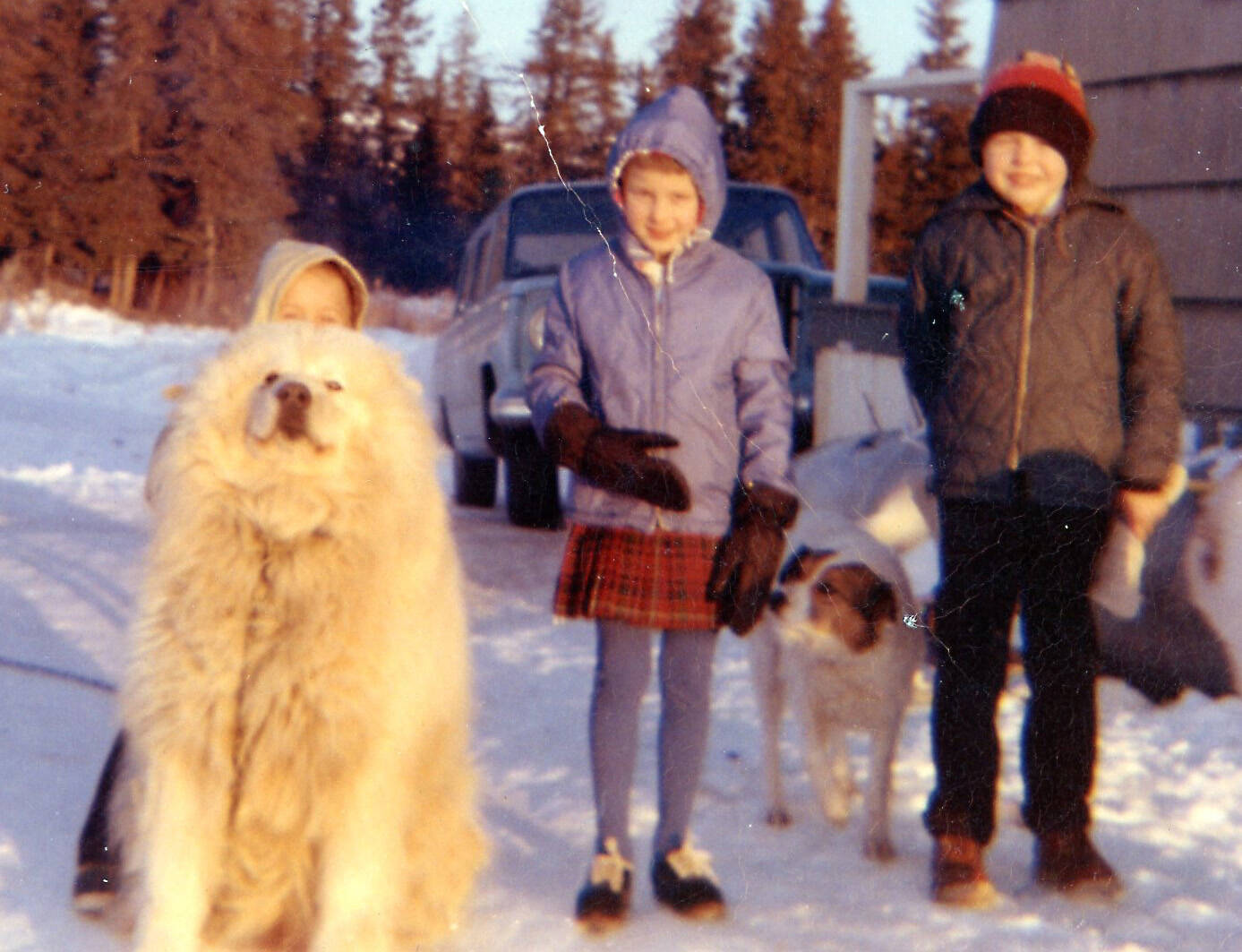 The Fenger children (Peter, at left, behind the dog, Heidi and Eric) pose near their home on the Homer bluff near the airport. Their dogs were Hartford (L) and Flojo.