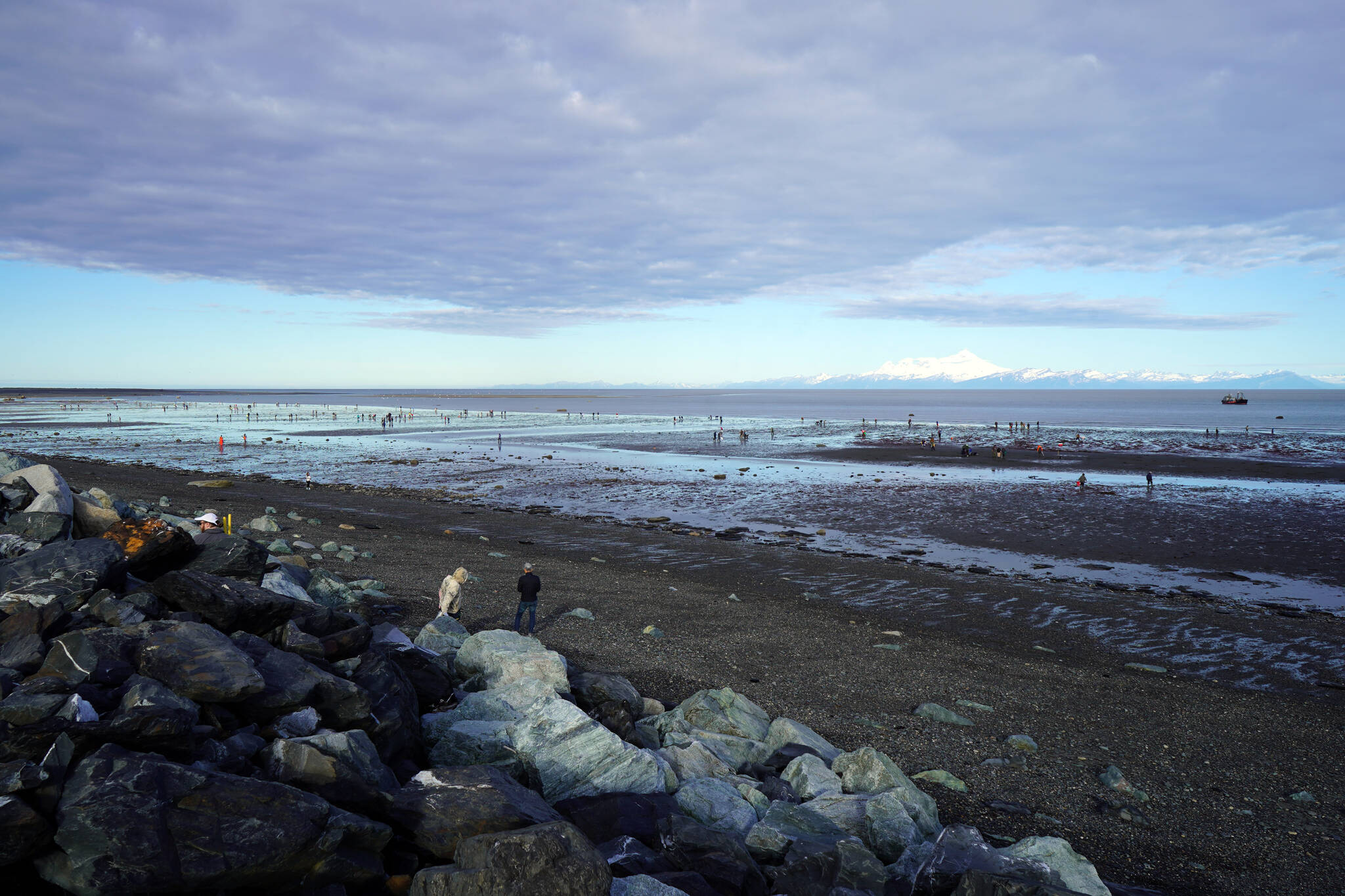 Countless anglers seek clams at Ninilchik Beach in Ninilchik, Alaska on Saturday, July 1, 2023. (Jake Dye/Peninsula Clarion)