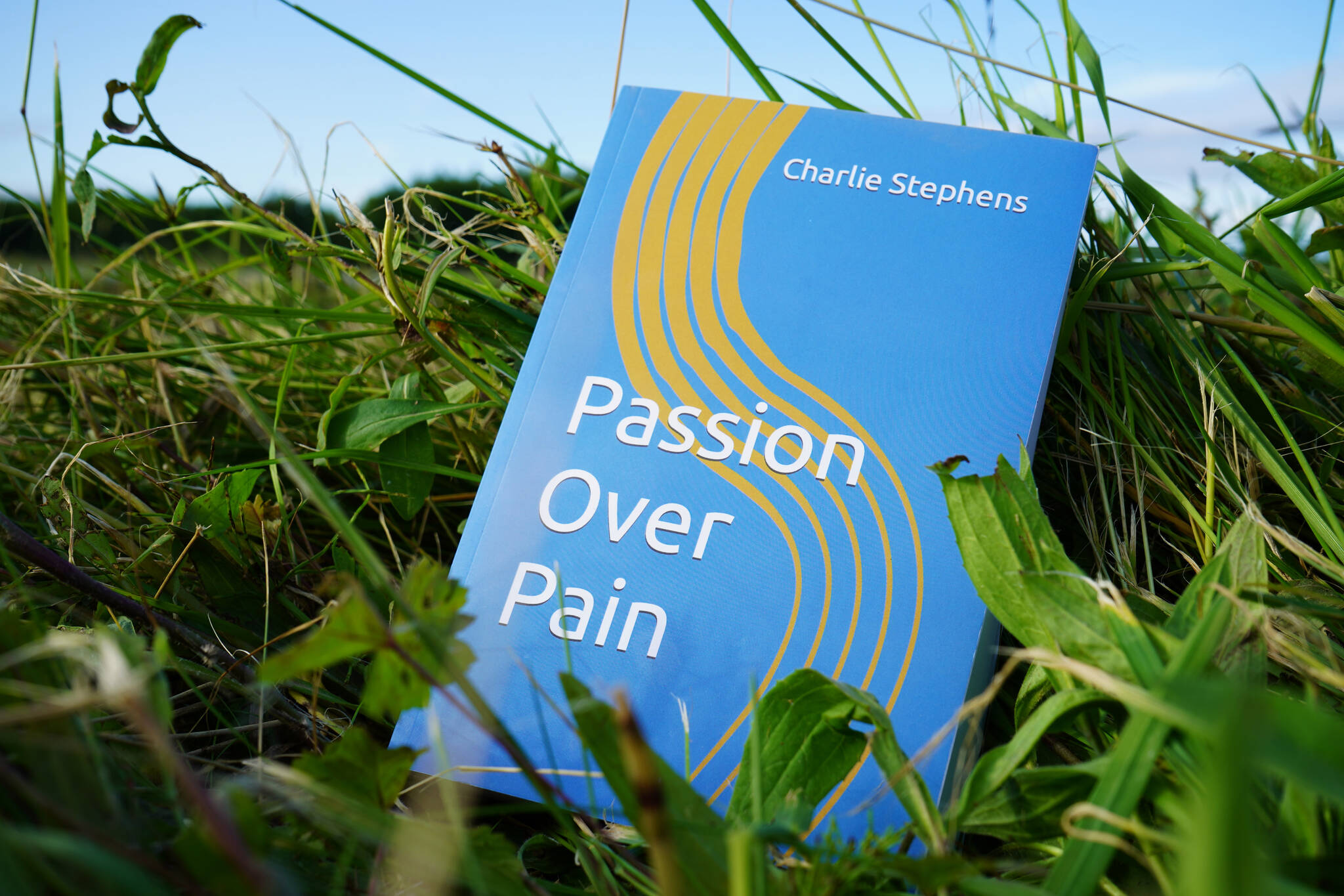 A copy of Charlie Stephens' "Passion Over Pain" rests in grass on Wednesday, July 12, 2023, in Soldotna, Alaska. (Jake Dye/Peninsula Clarion)