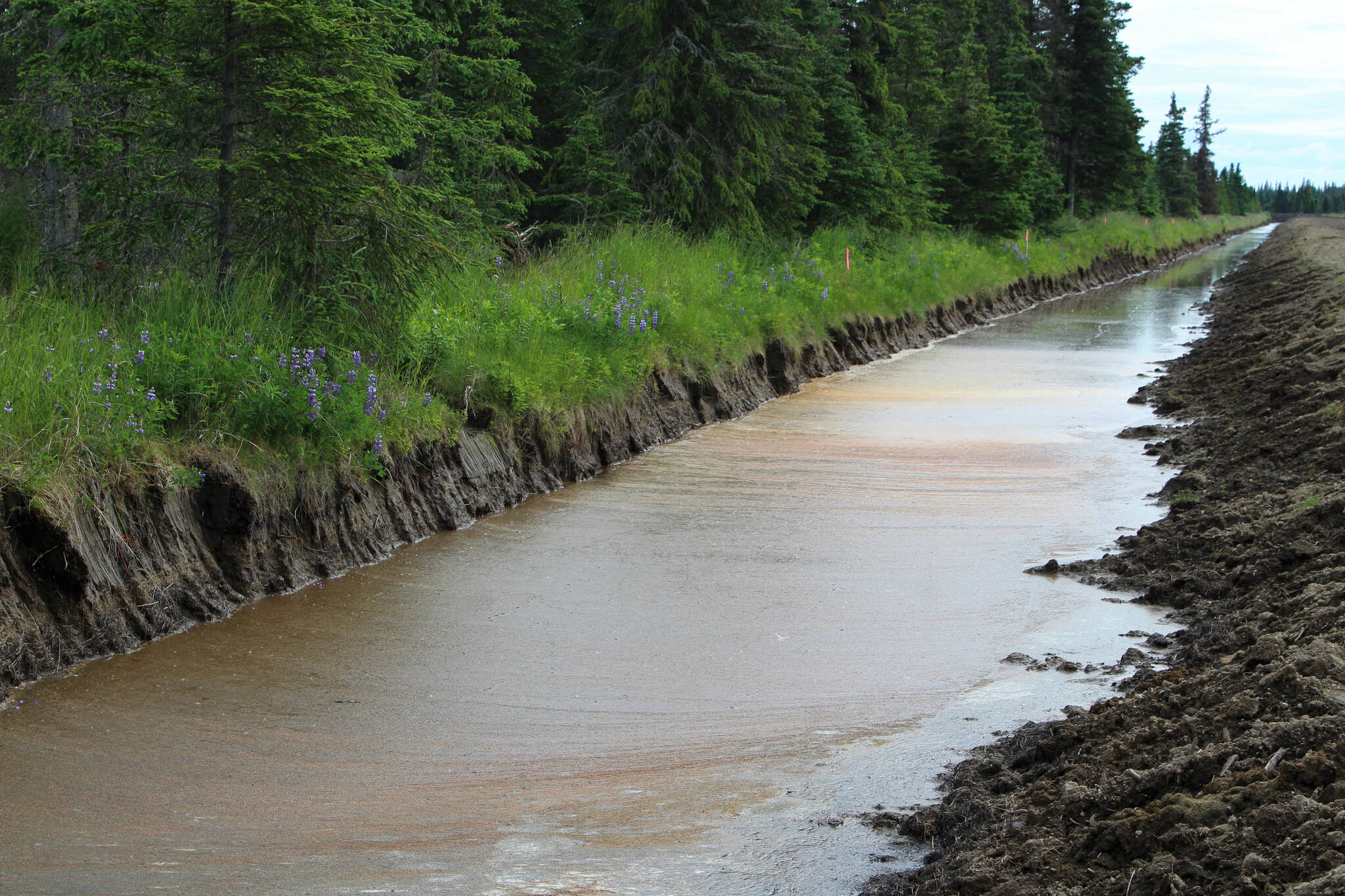 A canal full of water runs along a Kenai Peninsula Borough right-of-way on Friday, July 21, 2023 near Kenai, Alaska. (Ashlyn O’Hara/Peninsula Clarion)