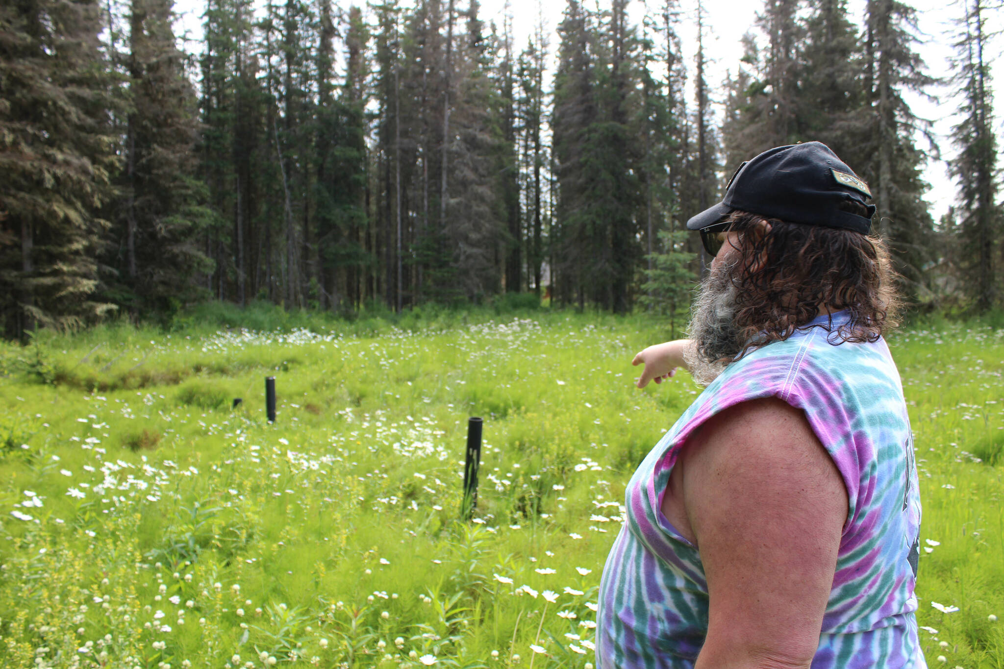 Marcus Ashkenasy points to where his septic tank is sinking into the ground behind his house on Monday, July 24, 2023 near Kenai, Alaska. (Ashlyn O’Hara/Peninsula Clarion)
