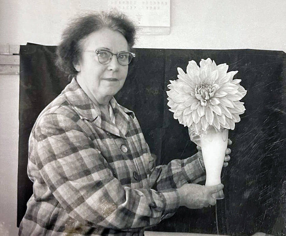 Cheechako News photo
Mable Smith holds a large dahlia grown by her childhood friend Amanda Walker, wife of Kenai’s Pappy Walker, in October 1961.