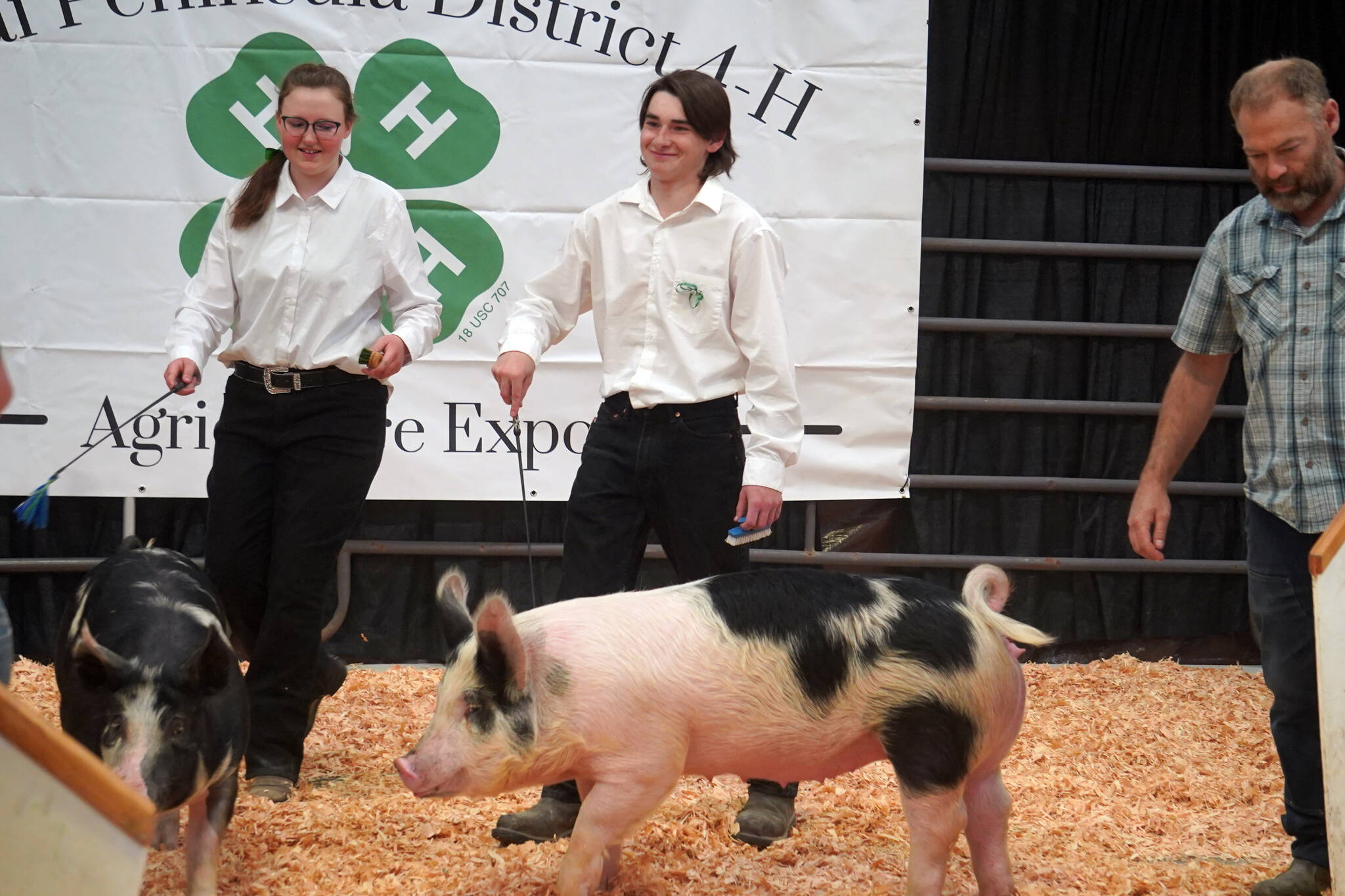 Parker Rose, center, directs his pig Crackers during the pig competition at the Kenai Peninsula District 4-H Agriculture Expo on Friday, Aug. 4, 2023, at the Soldotna Regional Sports Complex in Soldotna, Alaska. (Jake Dye/Peninsula Clarion)