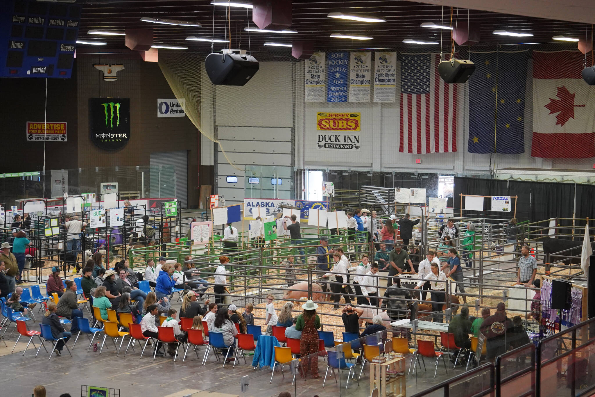 Contestants direct their pigs during the pig competition at the Kenai Peninsula District 4-H Agriculture Expo on Friday, Aug. 4, 2023, at the Soldotna Regional Sports Complex in Soldotna, Alaska. (Jake Dye/Peninsula Clarion)