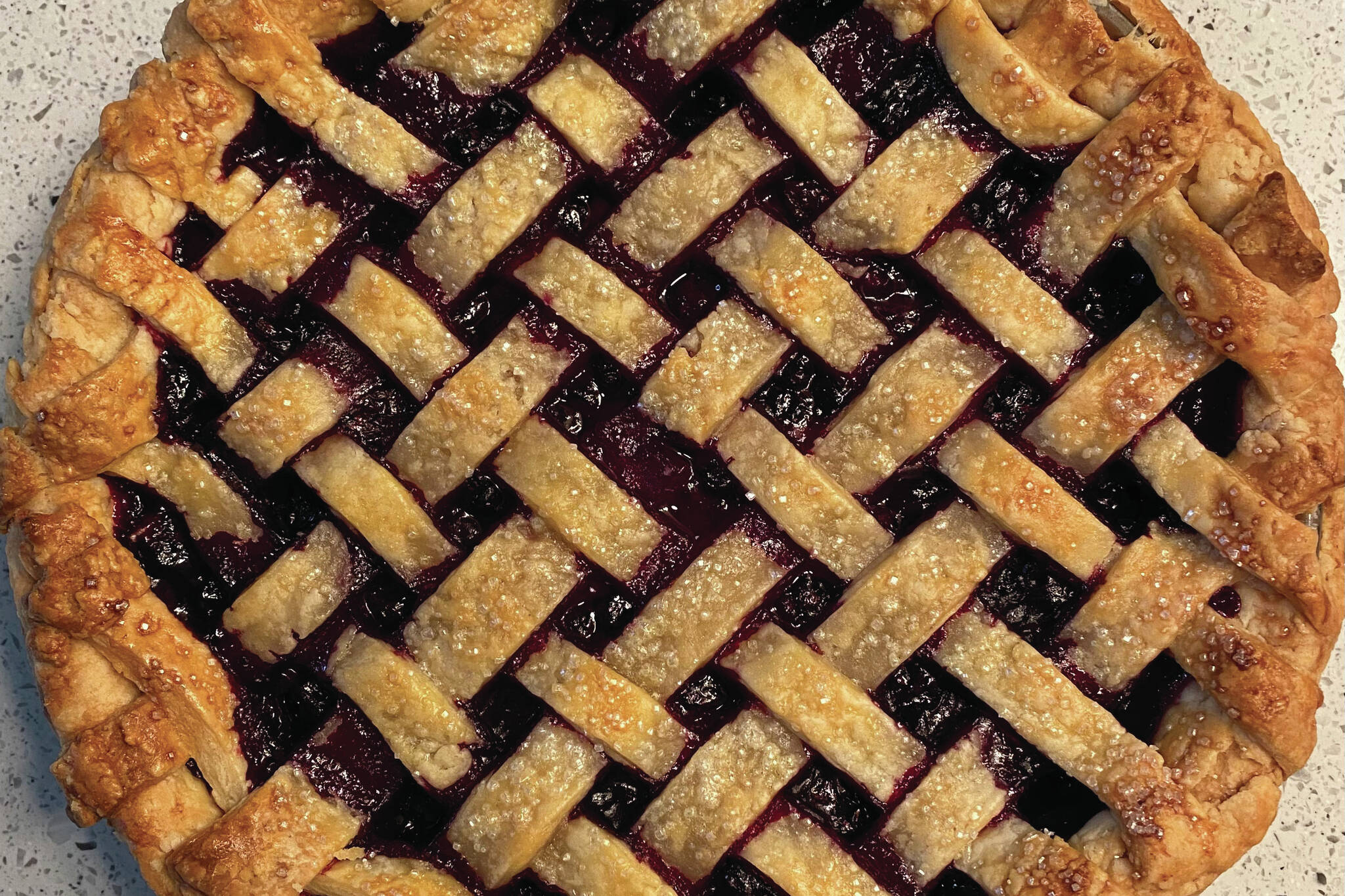 Honeyberry pie is made with freshly picked fruit from local orchard. (Photo by Tressa Dale/Peninsula Clarion)