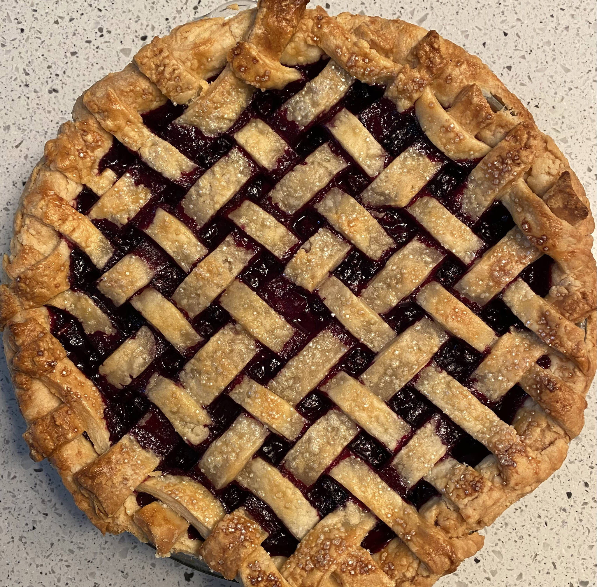 Honeyberry pie is made with freshly picked fruit from local orchard. (Photo by Tressa Dale/Peninsula Clarion)