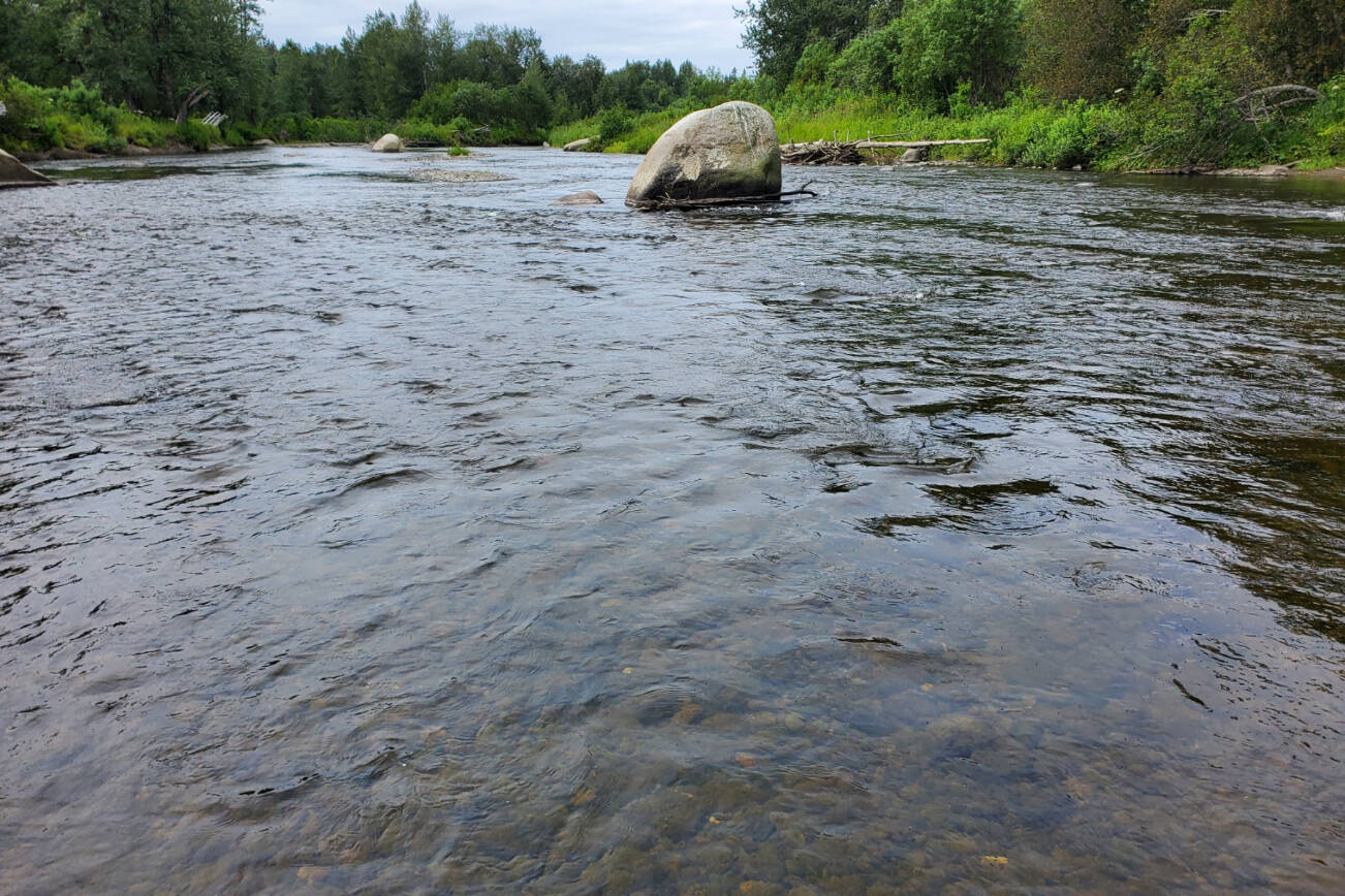 The Anchor River flows in the Anchor Point State Recreation Area on Saturday, Aug. 5, 2023 in Anchor Point, Alaska. (Delcenia Cosman/Homer News)