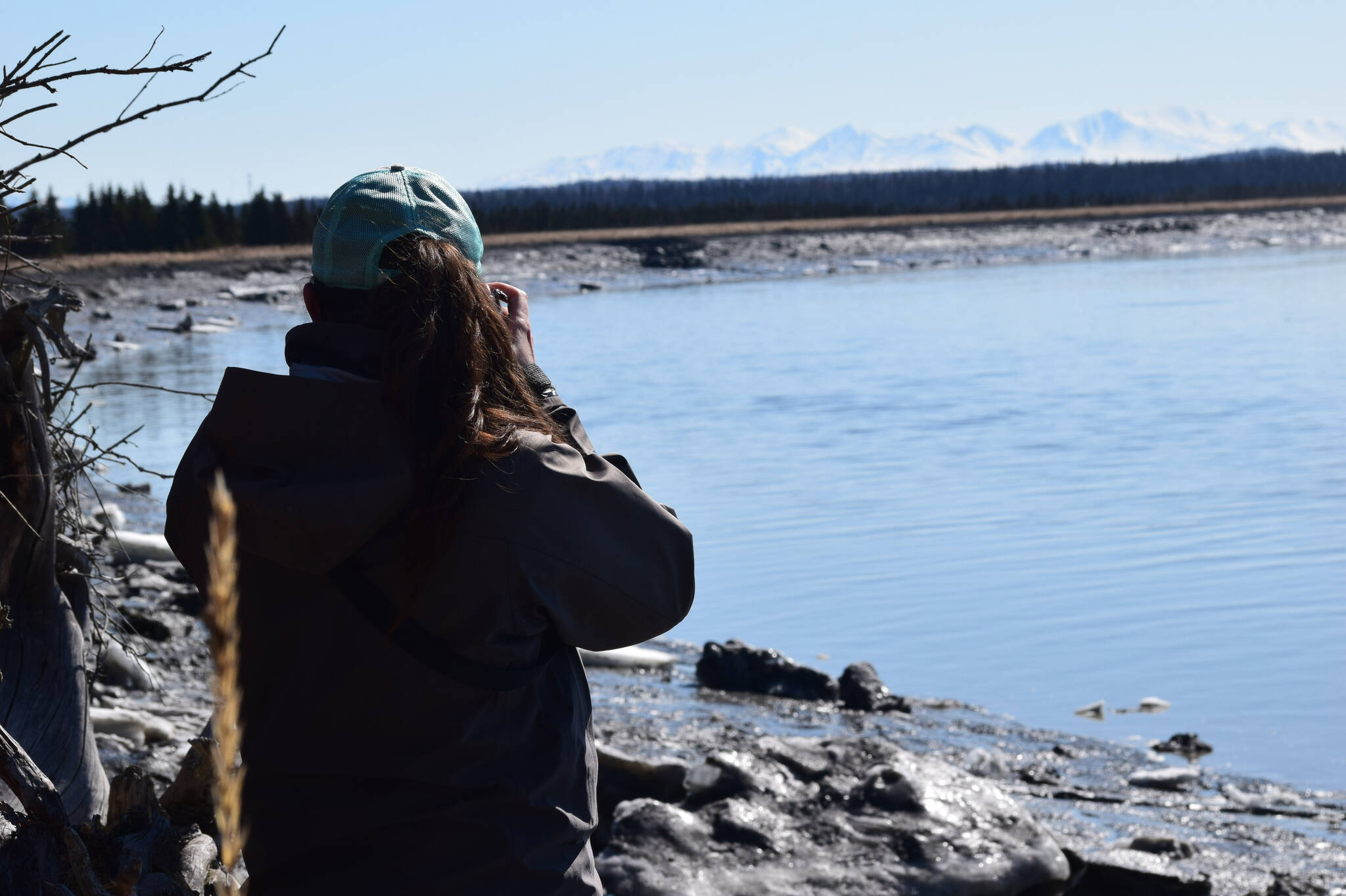 Madison Kosma watches as beluga whales swim up the Kenai River at Cunningham Park on Saturday, April 24, 2021. (Camille Botello/Peninsula Clarion)