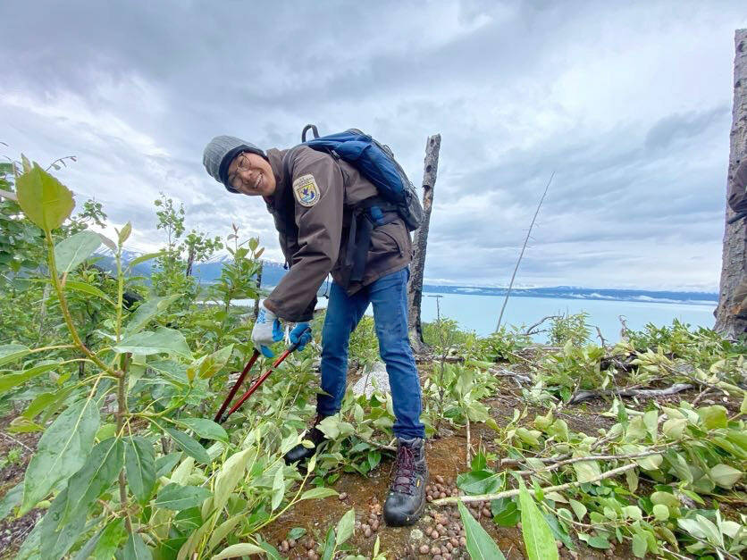 Ryan Chen lopping seasonal growth at a vista on Emma Lake Trail during a weeklong camping trip. (Photo by Shea Imgarten)