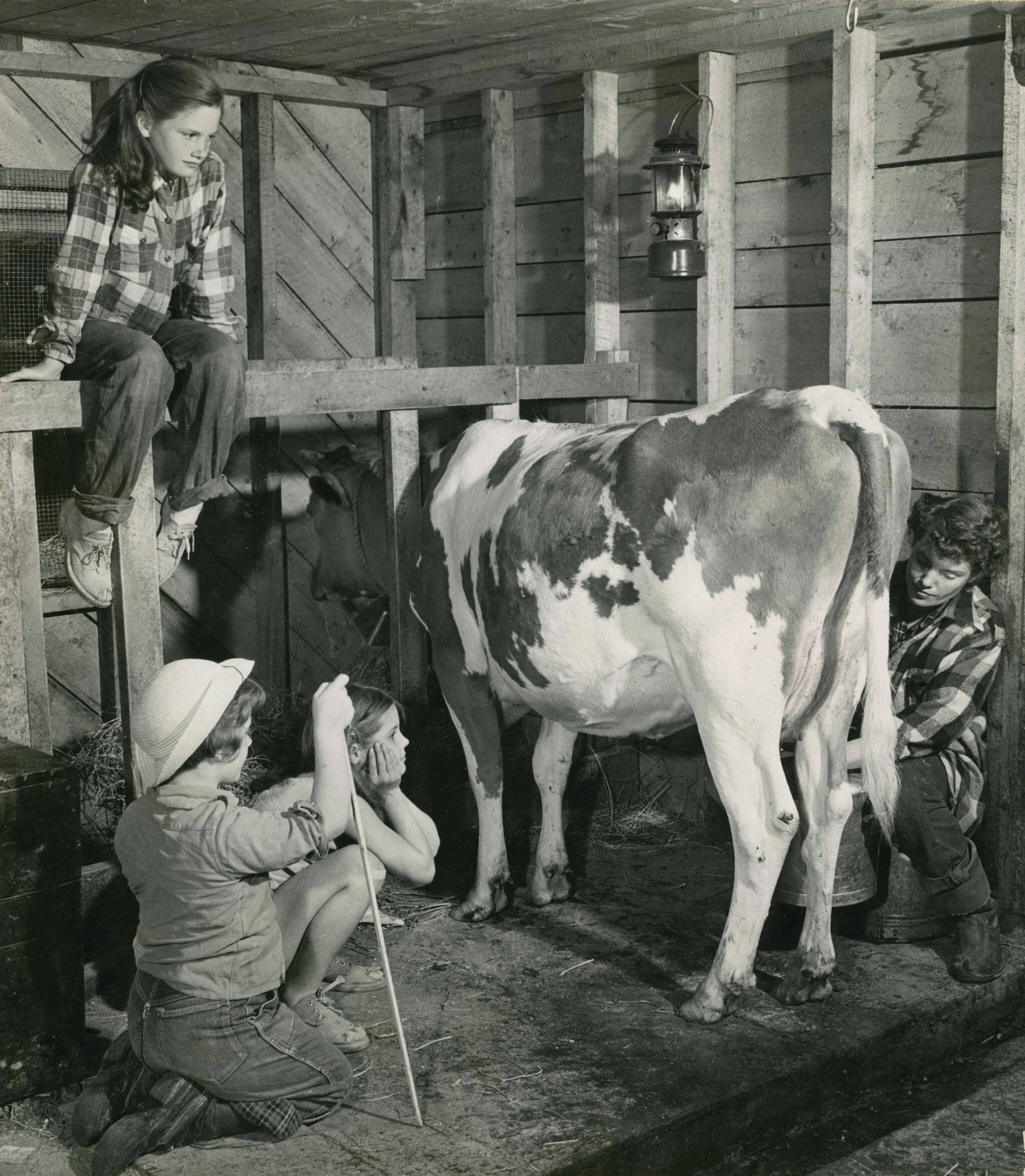1954 photo by Bob and Ira Spring for Better Homes & Garden magazine
Rusty Lancashire milks the family cow while her daughters (Martha, above, and, L-R, Abby and Lori) watch.