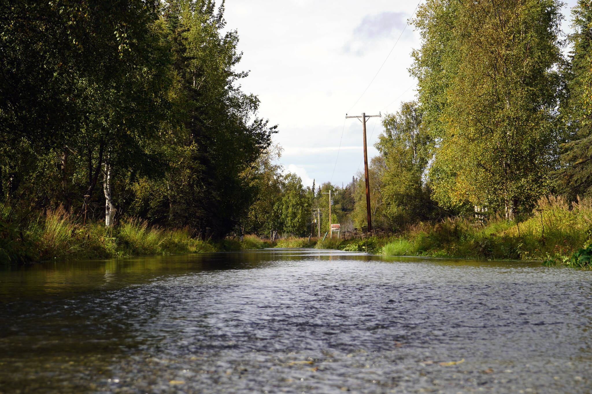 Water flows over Big Eddy Road in Soldotna, Alaska, on Wednesday, Sept. 13, 2023. (Jake Dye/Peninsula Clarion)