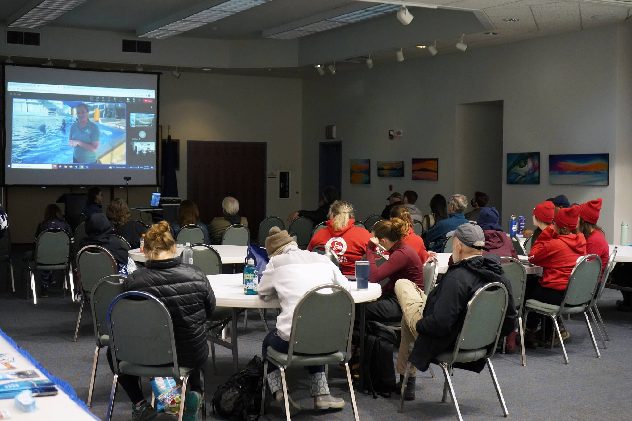 Attendees, staff and volunteers gather for a video conference with SeaWorld San Antonio, where a Cook Inlet beluga named Tyonek was successfully rehabilitated and still lives, during a festival held as part of Belugas Count! at the Kenai Chamber of Commerce in Kenai, Alaska, on Saturday, Sept. 23, 2023. (Jake Dye/Peninsula Clarion)