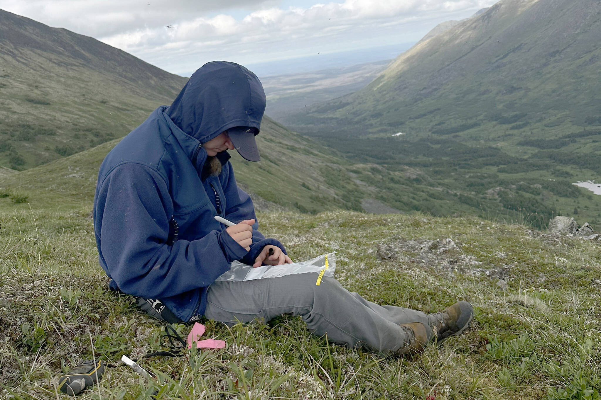 A U.S. Fish and Wildlife Service volunteer intern collects data in the Alpine. (Photo by Jackie Morton/FWS)