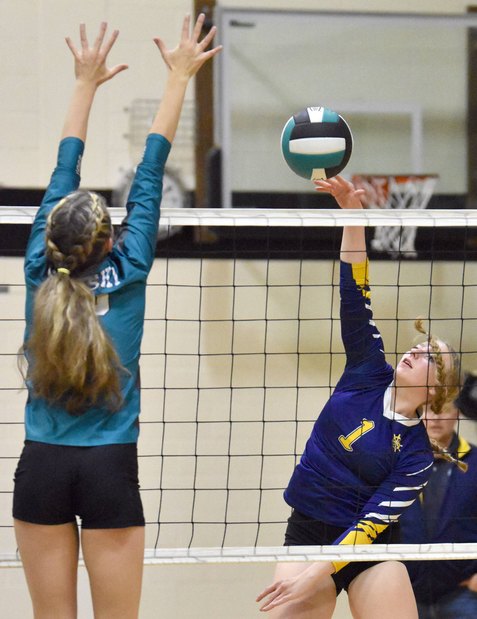 Nikiski volleyball celebrates senior night by toppling Homer