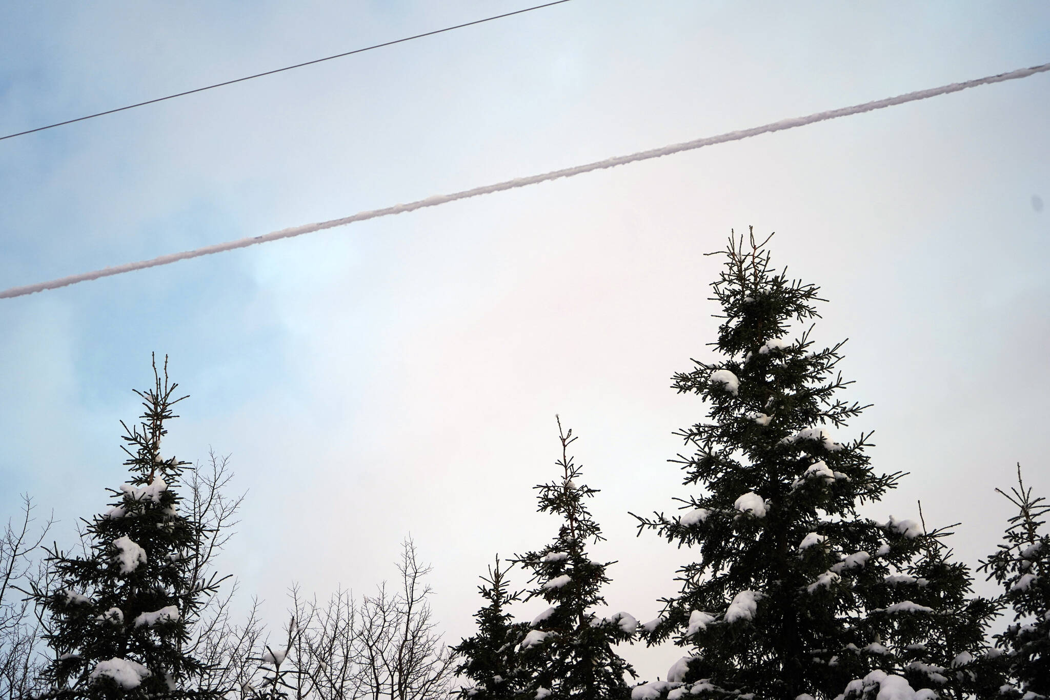 A powerline covered in snow is seen along Murwood Avenue in Soldotna, Alaska, on Wednesday, Nov. 15, 2023. (Jake Dye/Peninsula Clarion)