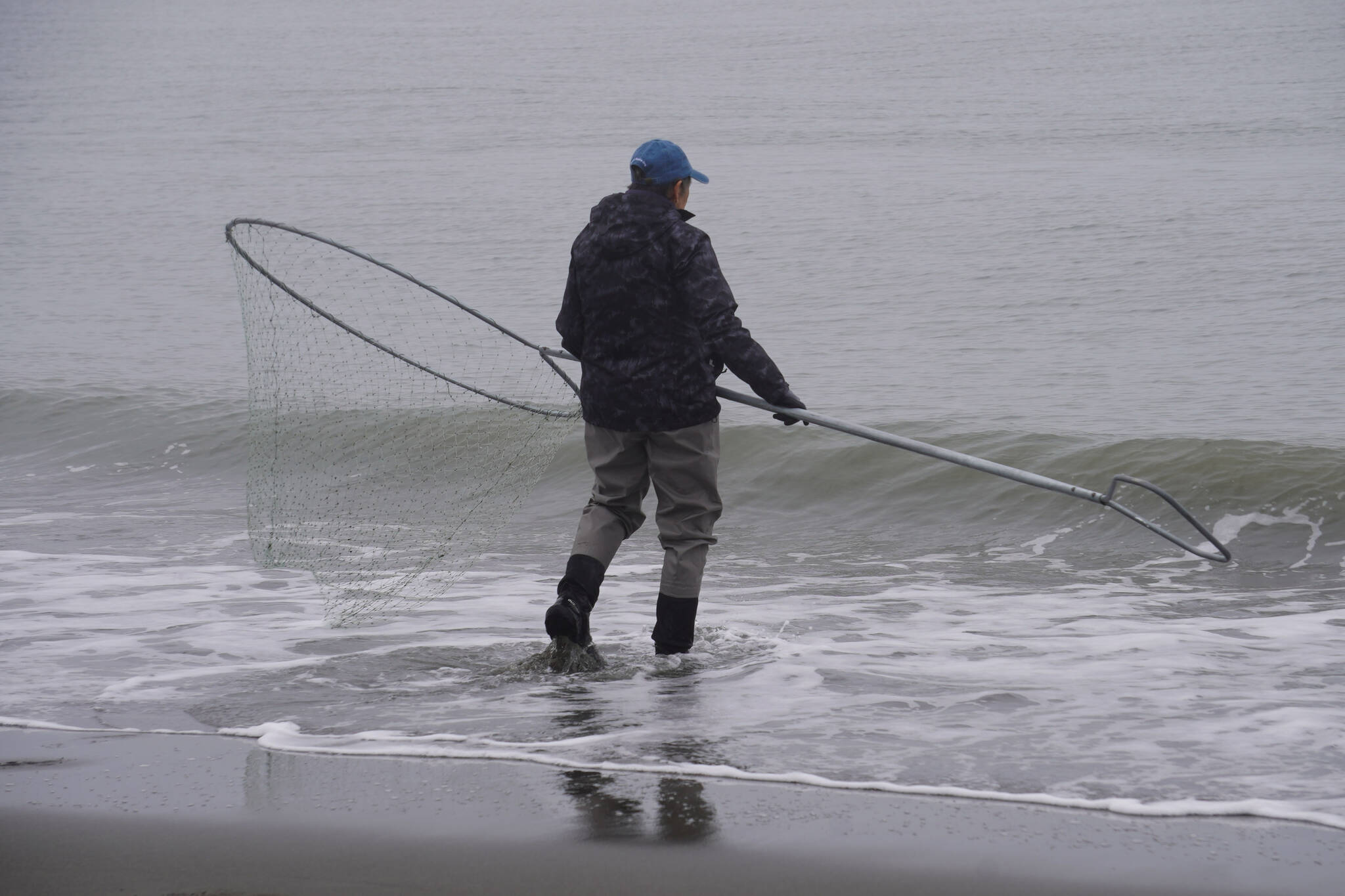 Betty Hatch wades out into the mouth of the Kenai River with a dipnet in hand on Monday, July 10, 2023, at the Kenai Beach in Kenai, Alaska. (Jake Dye/Peninsula Clarion)