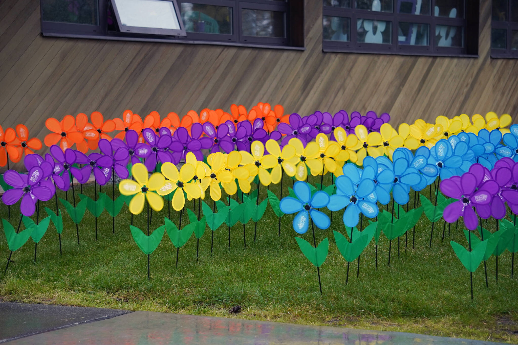 Promise garden flowers are assembled for the Walk to End Alzheimer’s at the Soldotna Regional Sports Complex in Soldotna, Alaska, on Saturday, Sept. 16, 2023. (Jake Dye/Peninsula Clarion)