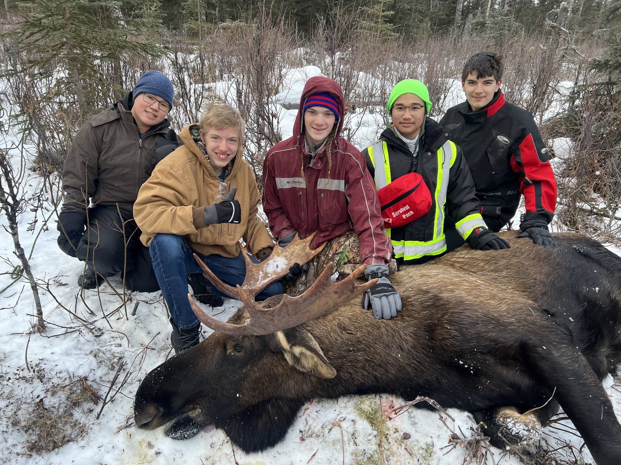 Students sit for a photo with a moose successfully harvested on an educational moose hunt in Nikiski, Alaska, on Saturday, Dec. 2, 2023. (Photo provided by Jesse Bjorkman)
