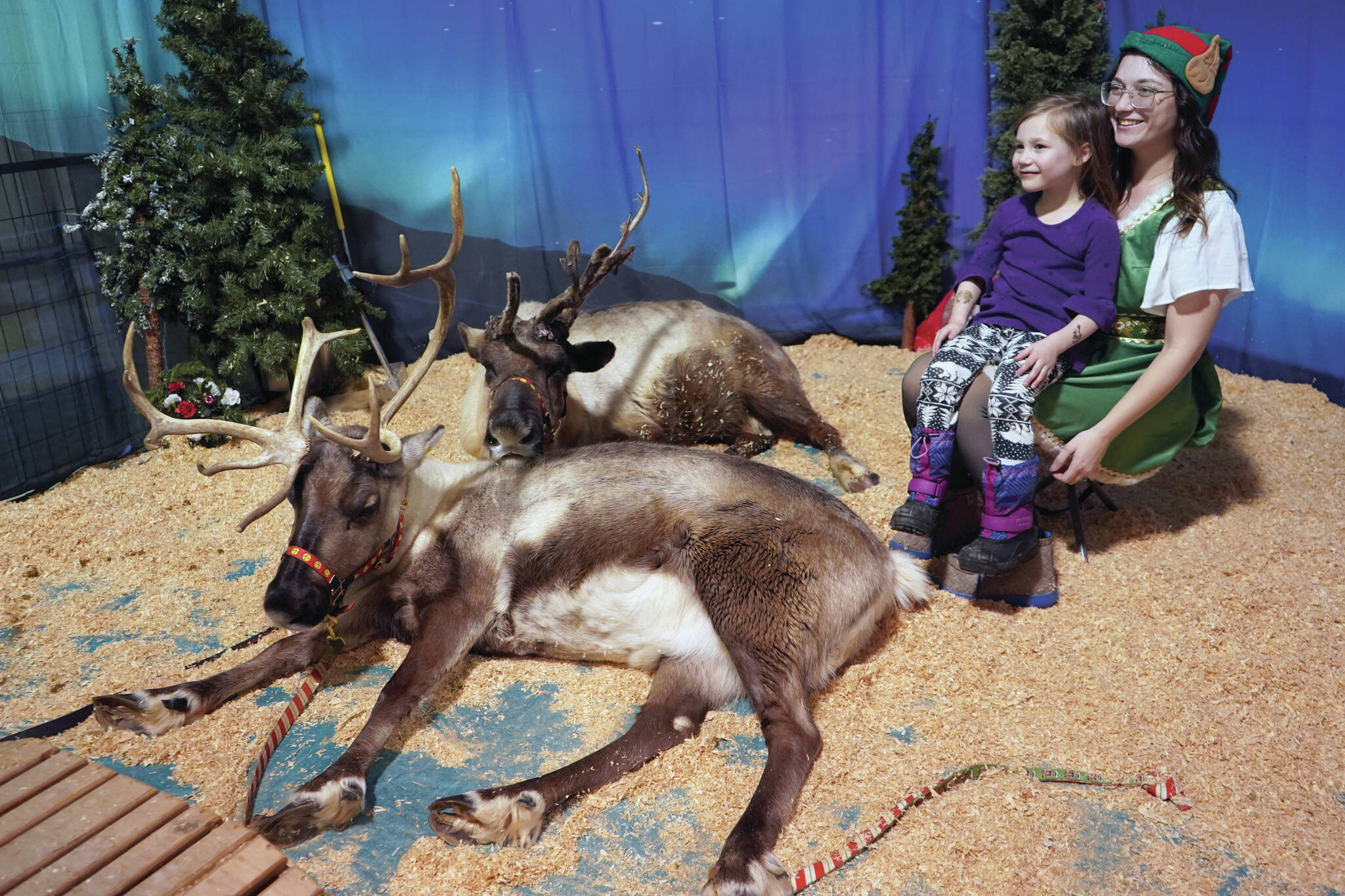 Jake Dye/Peninsula Clarion
Jenna Bedford, of Kenai Reindeer Farm, sits next to her reindeer with Juliana Bedford during the Fourth Annual Holiday Cheer Christmas Bazaar at the Old Carrs Mall in Kenai on Saturday.