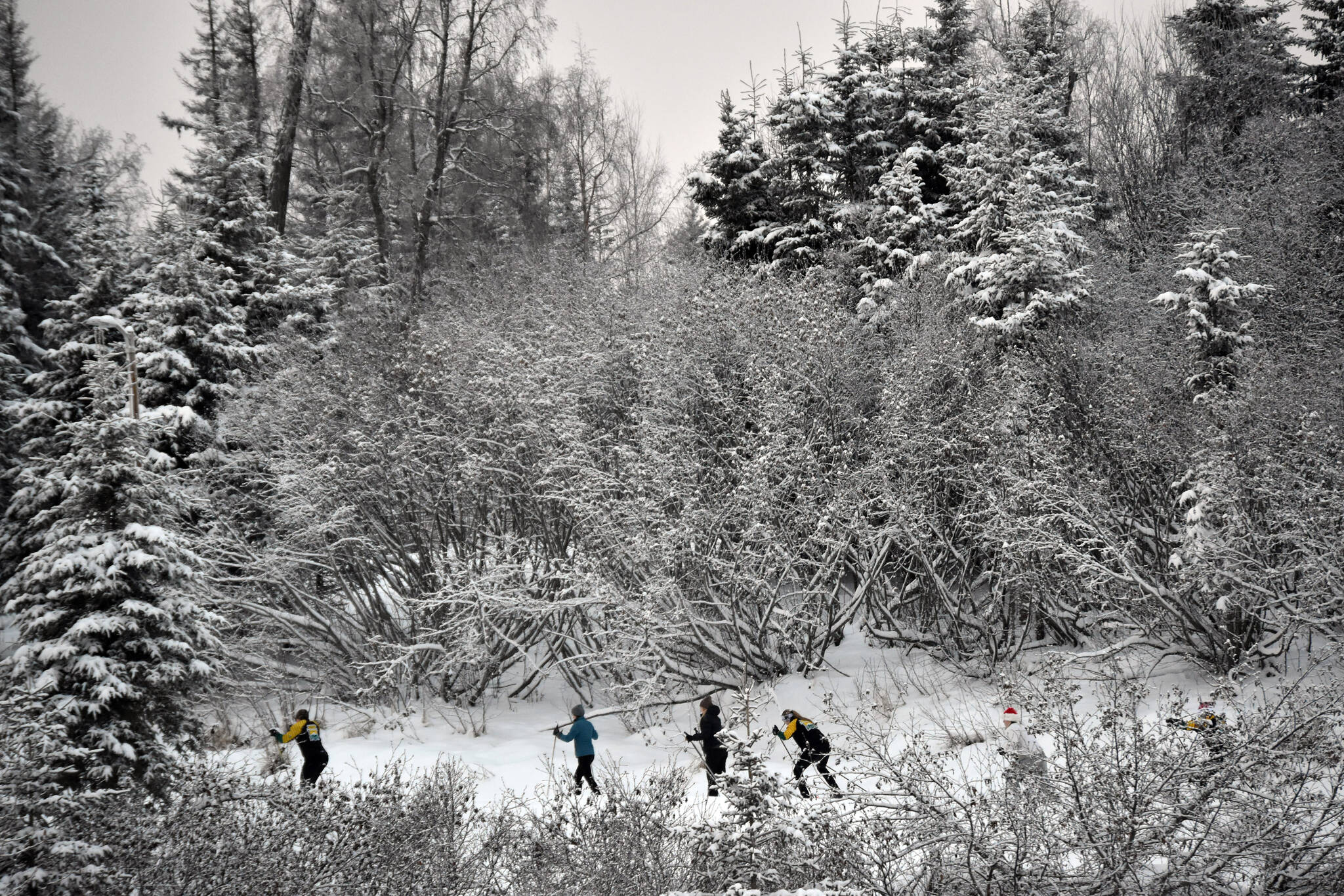 Skiers go up Angle Hill at the Candy Cane Scramble on Friday, Dec. 15, 2023, at Tsalteshi Trails just outside of Soldotna, Alaska. (Photo by Jeff Helminiak/Peninsula Clarion)
