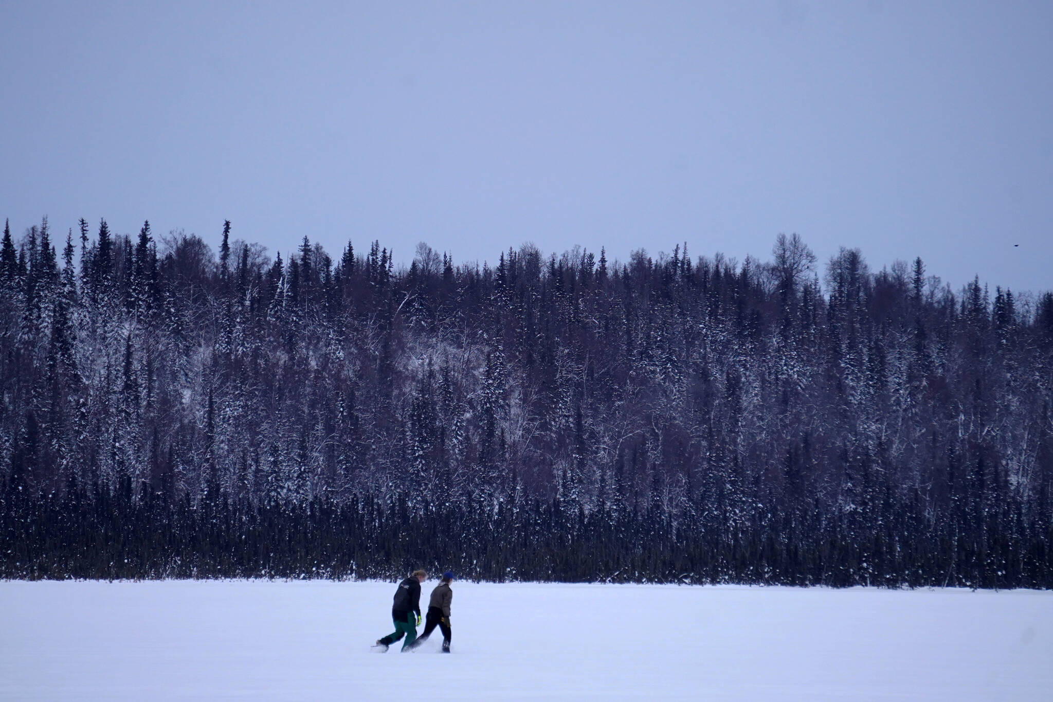 Nathan Teates and Isaac Copple use snowshoes to cross Headquarters Lake in the Kenai National Wildlife Refuge near Soldotna, Alaska, on Saturday, Jan. 6, 2024. (Jake Dye/Peninsula Clarion)