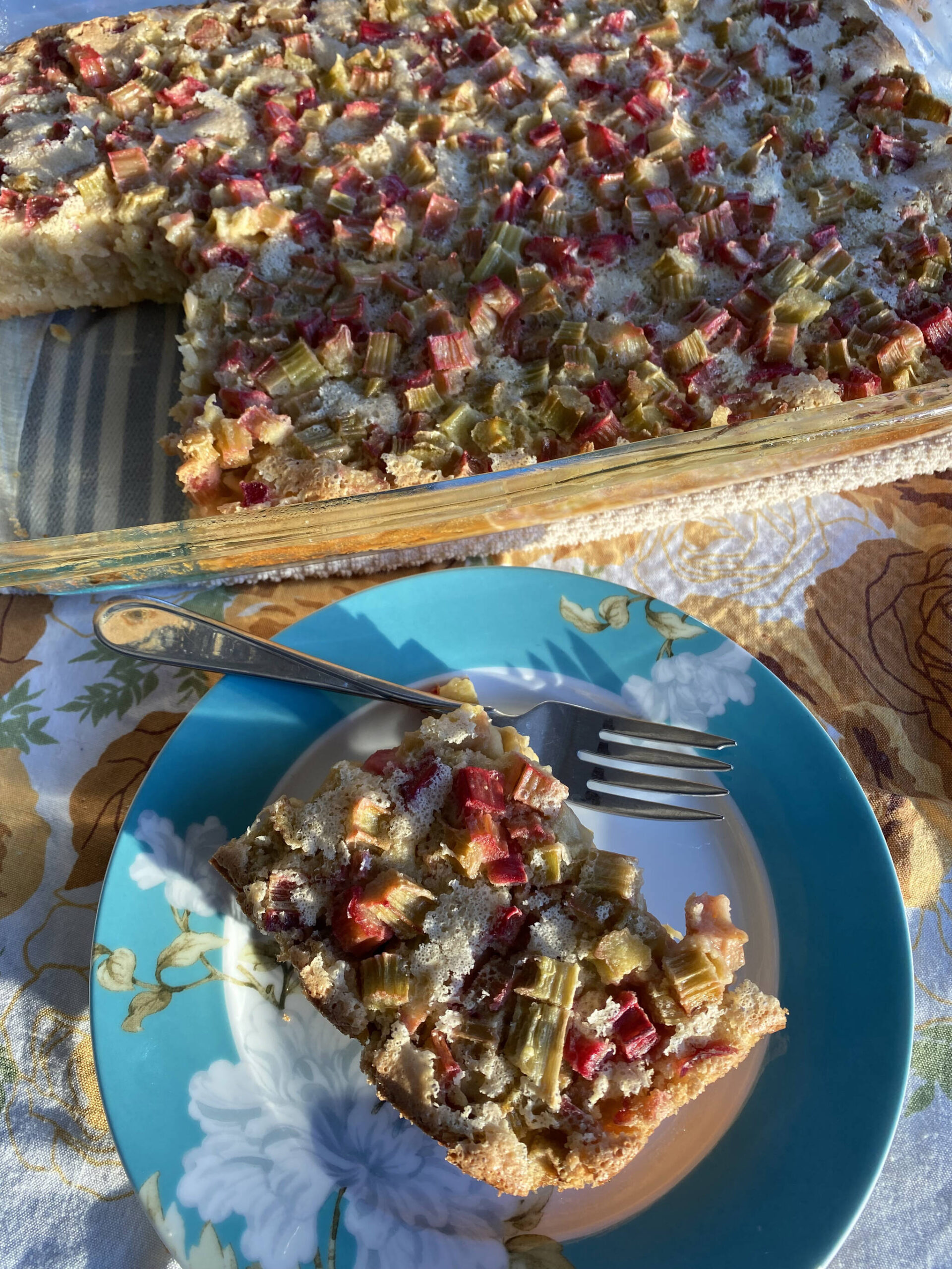 These rhubarb dream bars are equally sour and sweet and are delicious served cold or hot with a scoop of vanilla ice cream. (Photo by Tressa Dale/Peninsula Clarion)