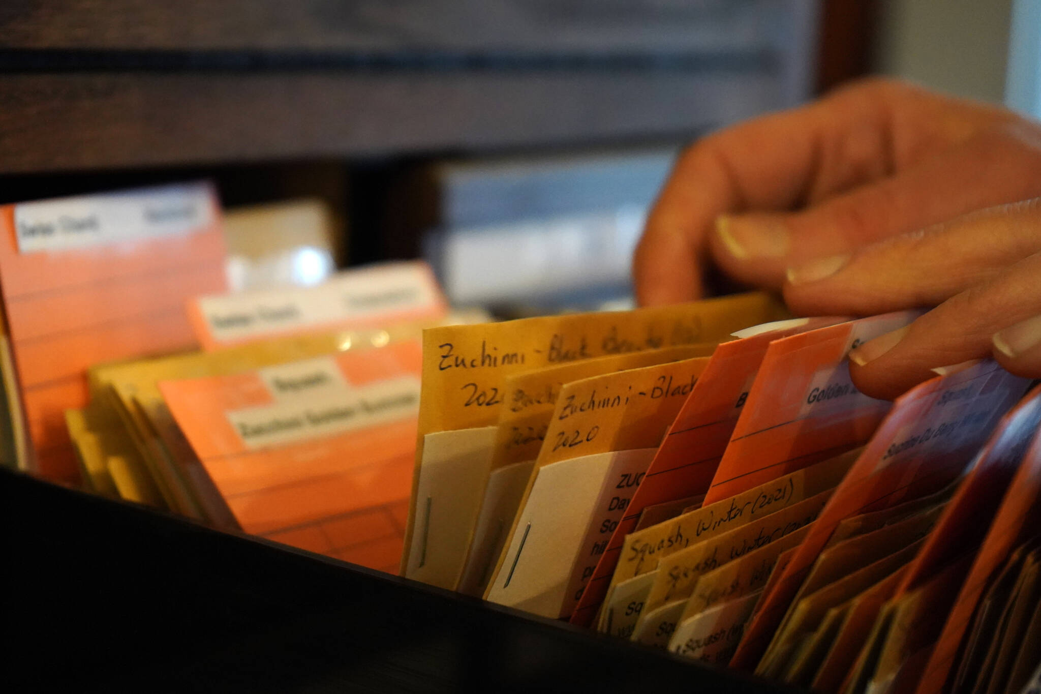 A person peruses packets of seeds in the Soldotna Seed Library at The Goods Sustainable Grocery on Thursday, Feb. 1, 2024. (Jake Dye/Peninsula Clarion)