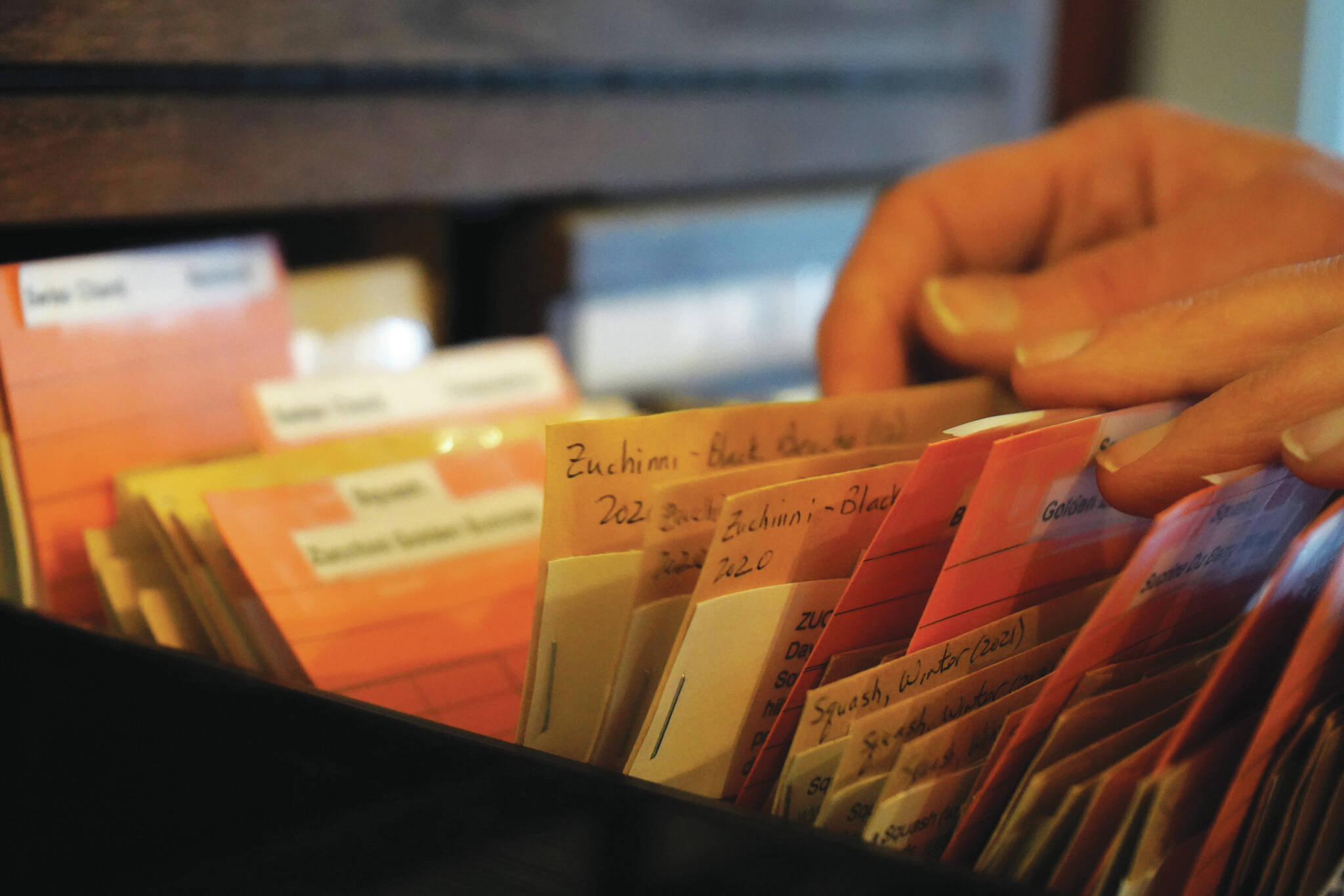 A person peruses packets of seeds in the Soldotna Seed Library at The Goods Sustainable Grocery on Thursday, Feb. 1, 2024. (Jake Dye/Peninsula Clarion)