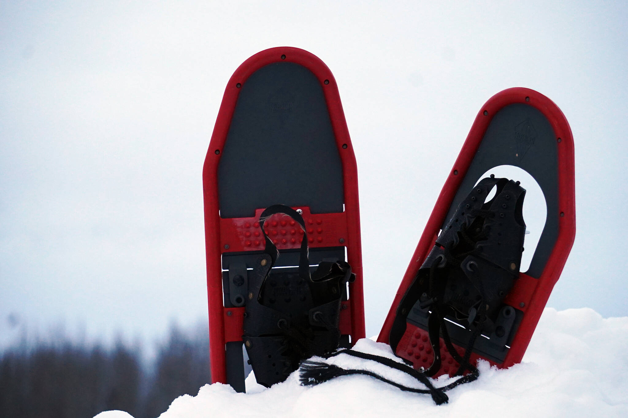 Jake Dye's pair of second-hand snowshoes rest in a snowberm near Soldotna, Alaska, on Thursday, Feb. 8, 2024. (Jake Dye/Peninsula Clarion)