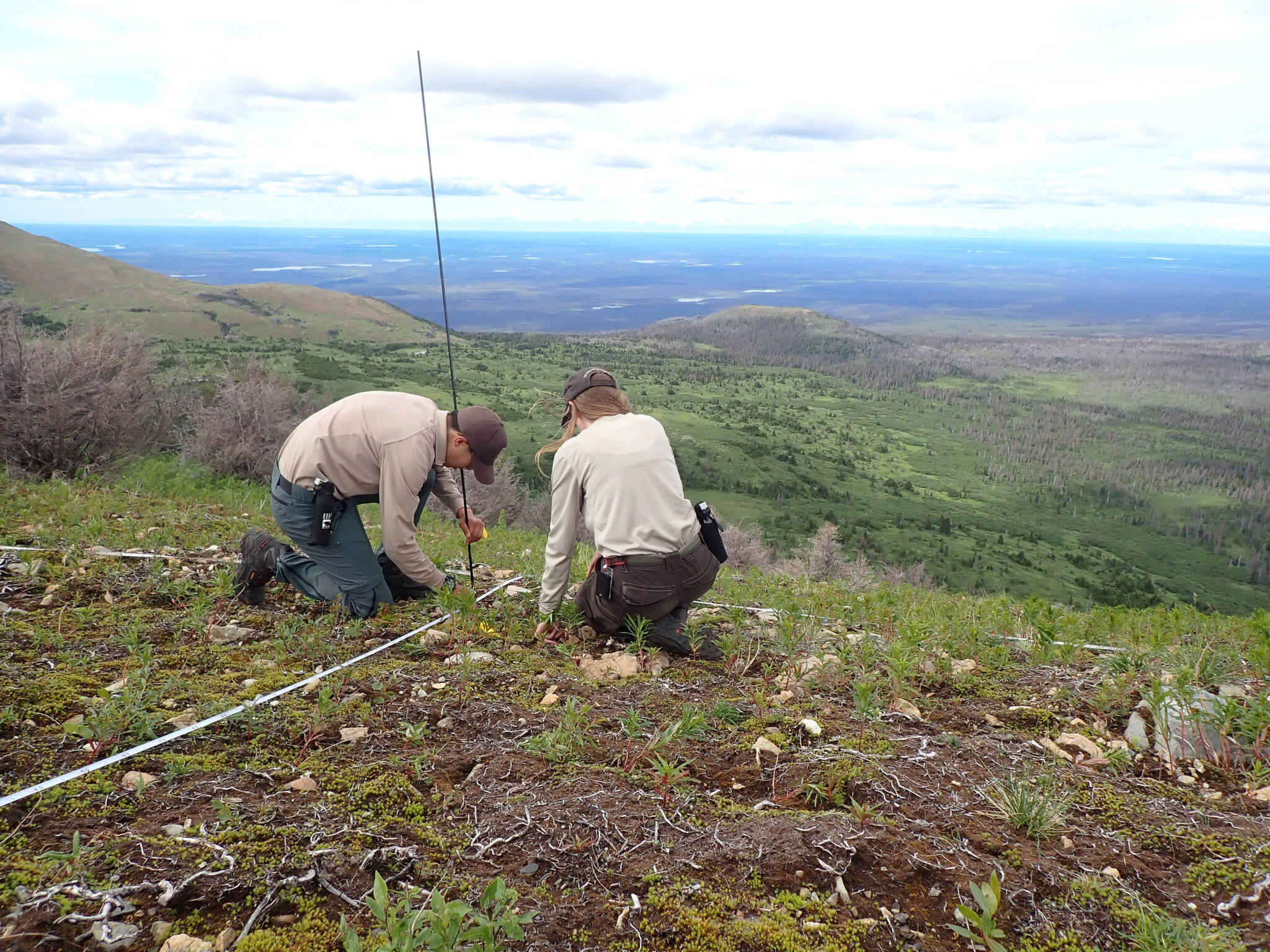 Summer seasonal field crews grow professionally through experiencing the beauty and the bounty of the Kenai National Wildlife Refuge. (Photo by USFWS)