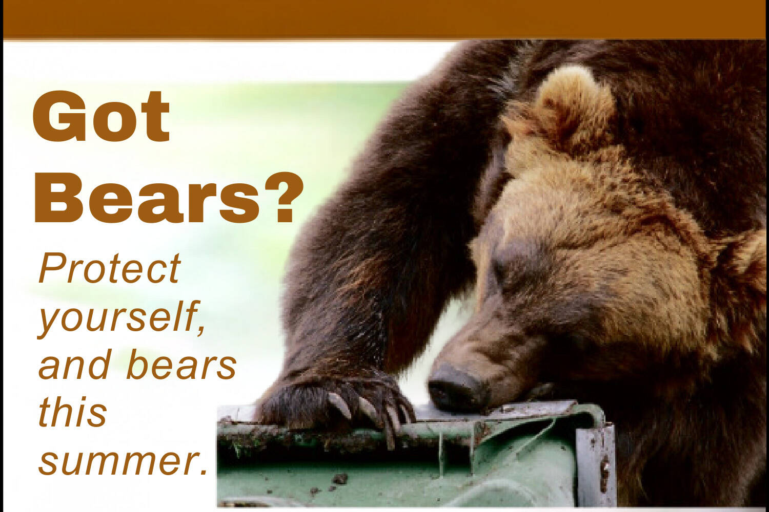 Flier for Bear Awareness and Electric Fencing Workshops. (Provided by Defenders of Wildlife)