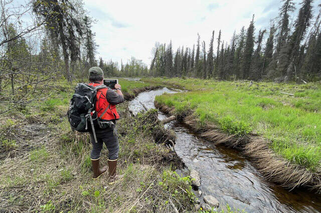 Wetlands are surveyed by the Kachemak Heritage Land Trust. (Photo provided by the Kachemak Heritage Land Trust)