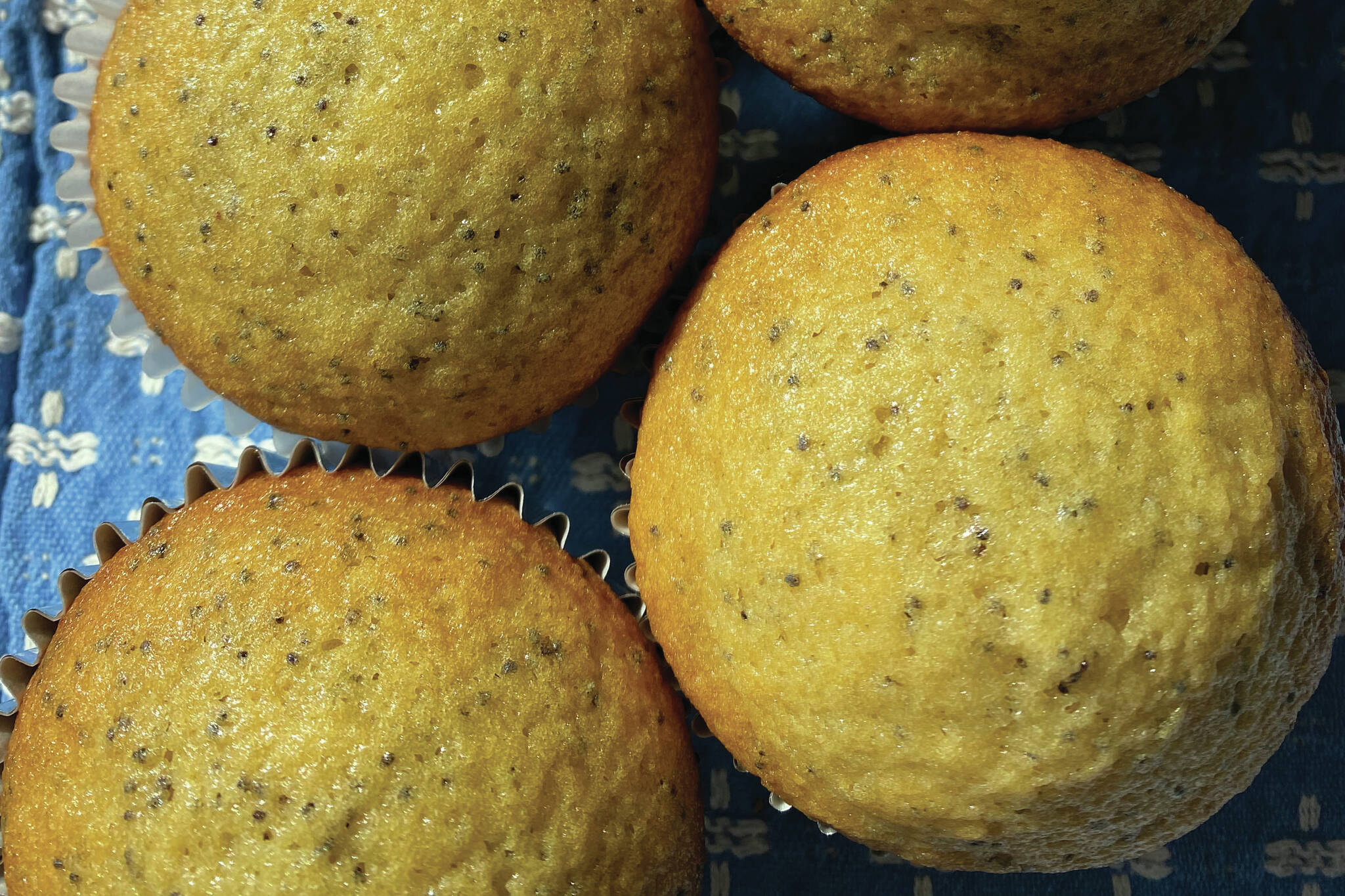 These poppy seed muffins are enhanced with the flavor of almonds. (Photo by Tressa Dale/Peninsula Clarion)