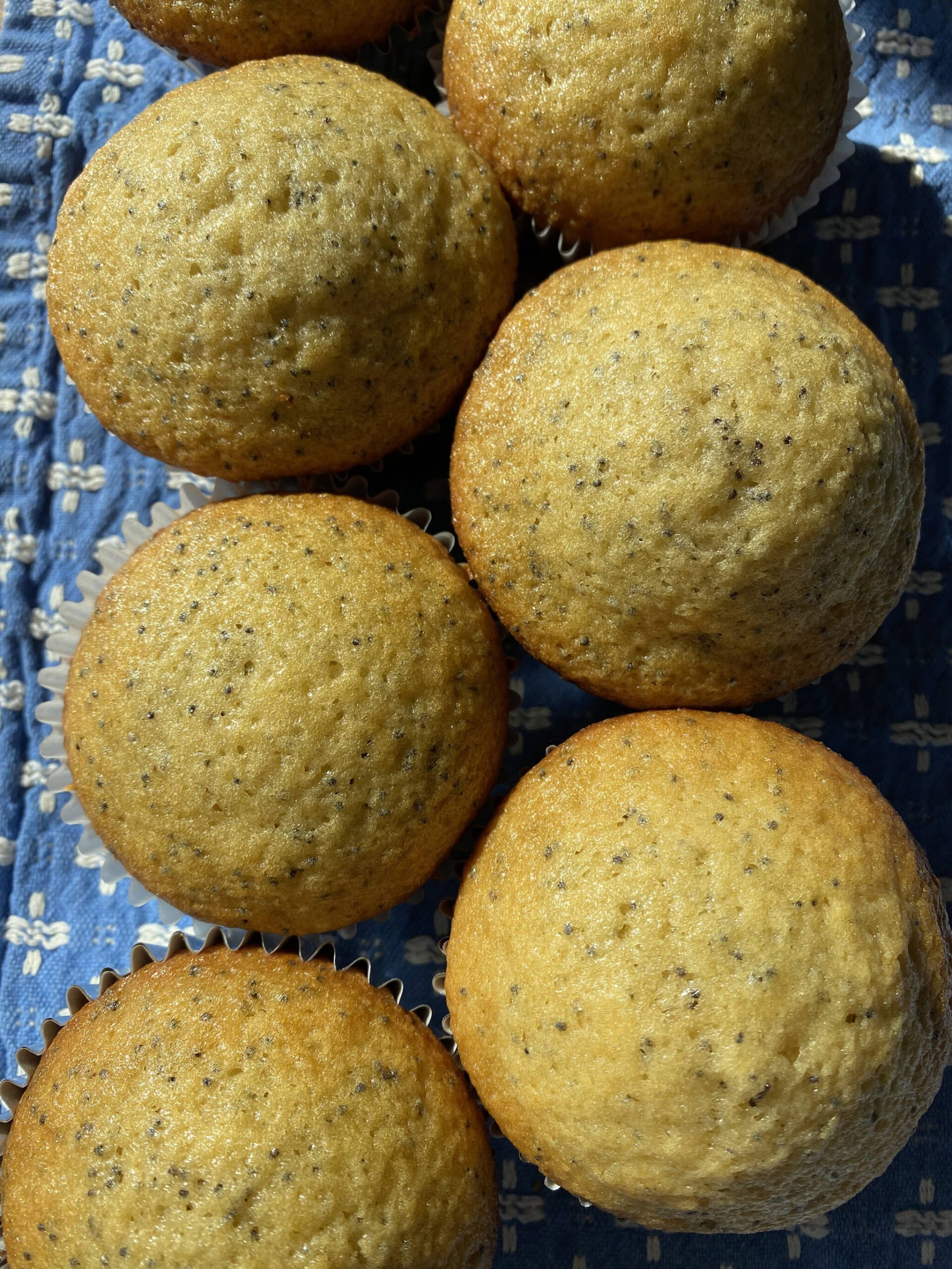 These poppy seed muffins are enhanced with the flavor of almonds. (Photo by Tressa Dale/Peninsula Clarion)