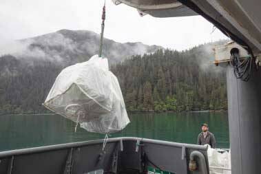 Thousands of pounds of trash collected at eight beaches. (Photo by Sarah Conlin/NPS)