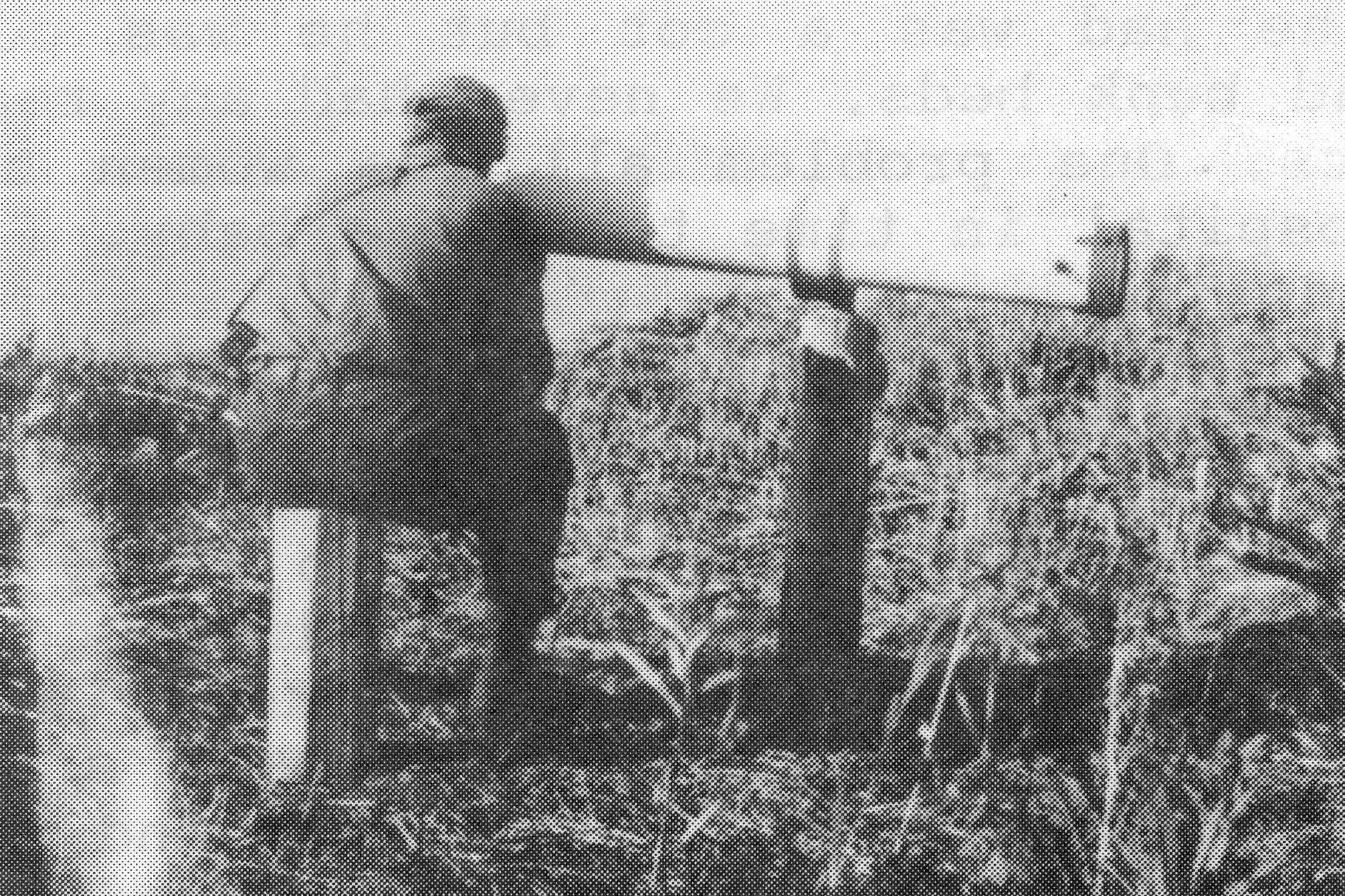 Happy Valley homesteader Wayne Jones looks through the telescope built by Rex Hanks, circa 1950. (Photo from “The Pioneers of Happy Valley, 1944-1964,” by Ella Mae McGann)