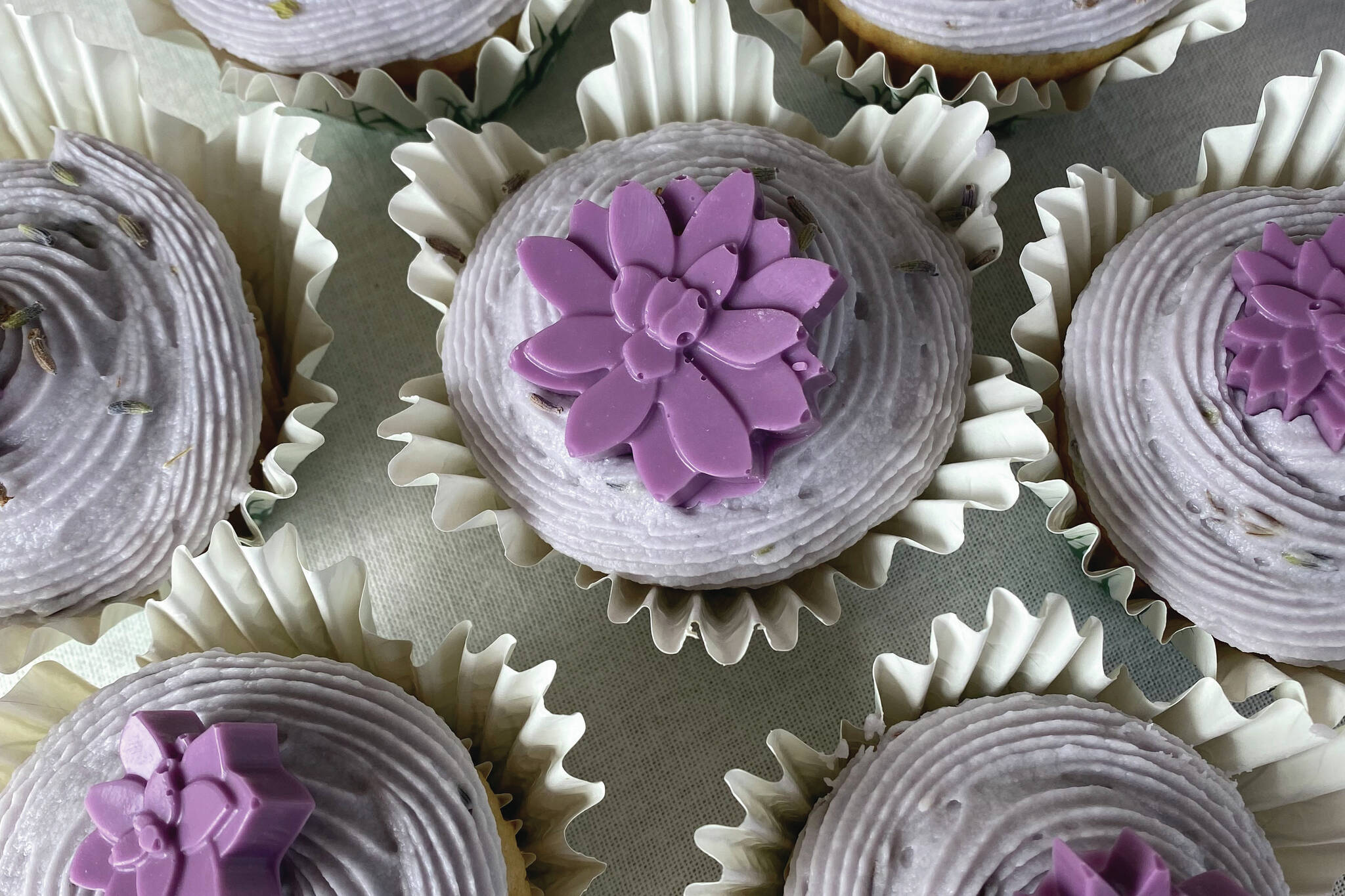 Earl Grey and lavender cupcakes are elegantly decorated. (Photo by Tressa Dale/Peninsula Clarion)