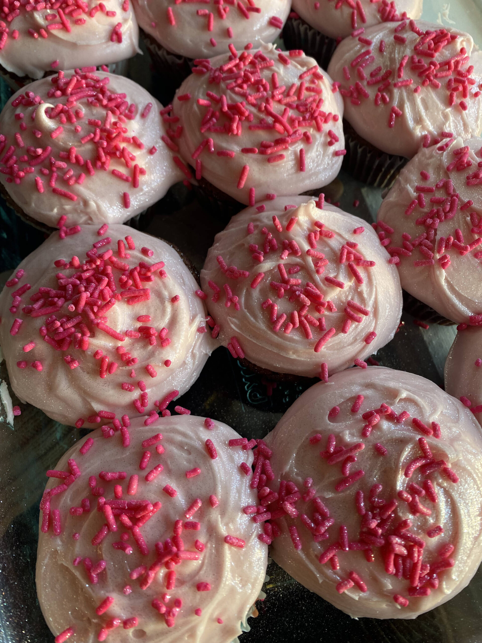 These cupcakes are dense, more like brownies than traditional cupcakes, and are chock full of chocolate. (Photo by Tressa Dale/Peninsula Clarion)
