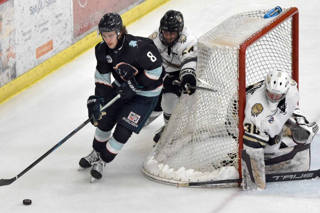 Friday Wolverines shut out Brown Bears Peninsula Clarion