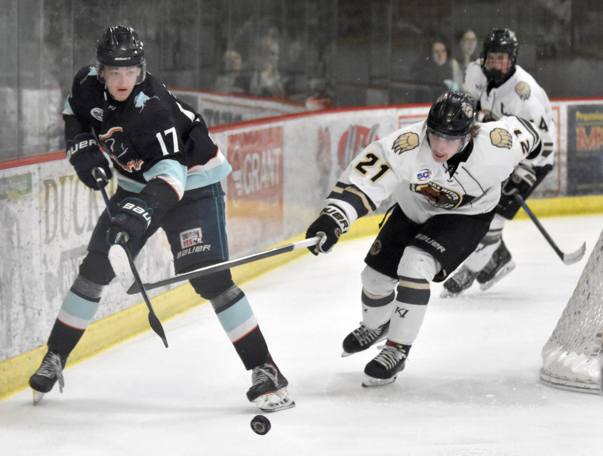 Jack Darby of the Anchorage Wolverines and Wes Berg of the Kenai River Brown Bears battle for the puck Saturday, March 29, 2025, at the Soldotna Regional Sports Complex in Soldotna, Alaska. (Photo by Jeff Helminiak/Peninsula Clarion)